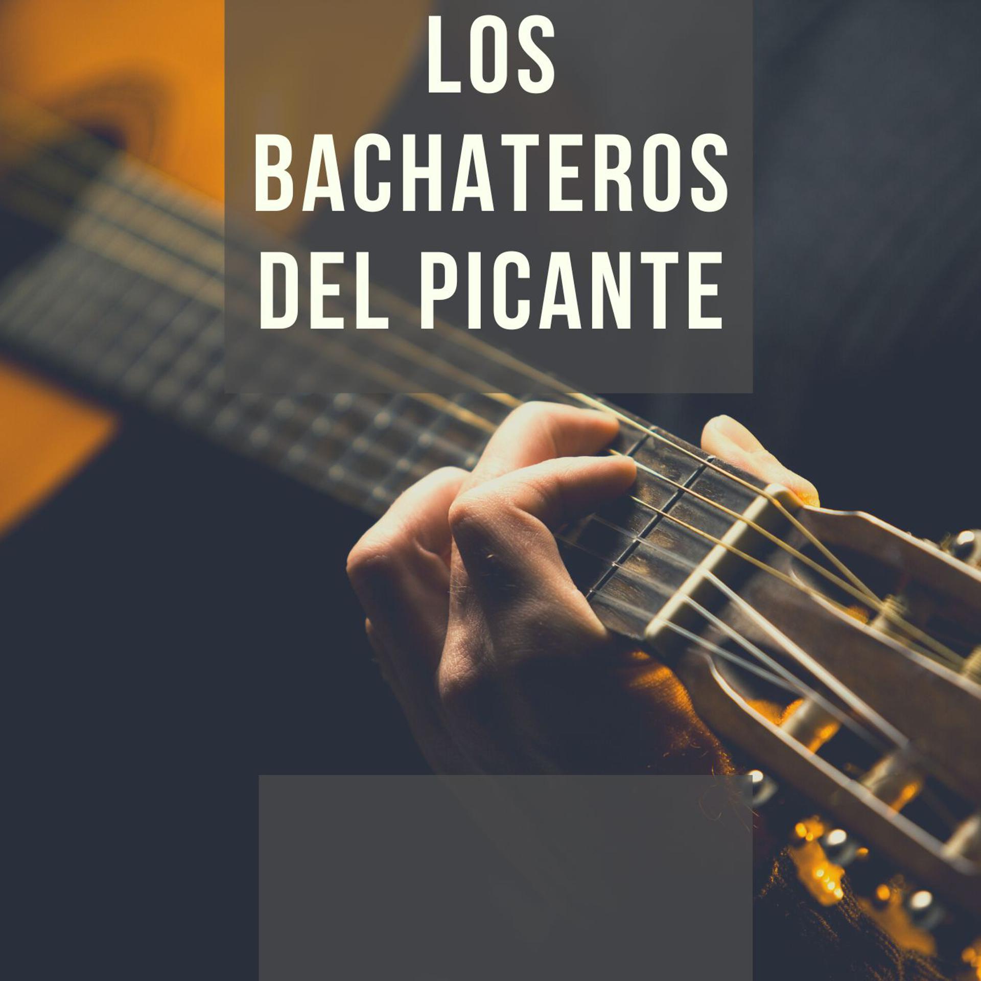 Постер альбома Loa Bachateros del picante