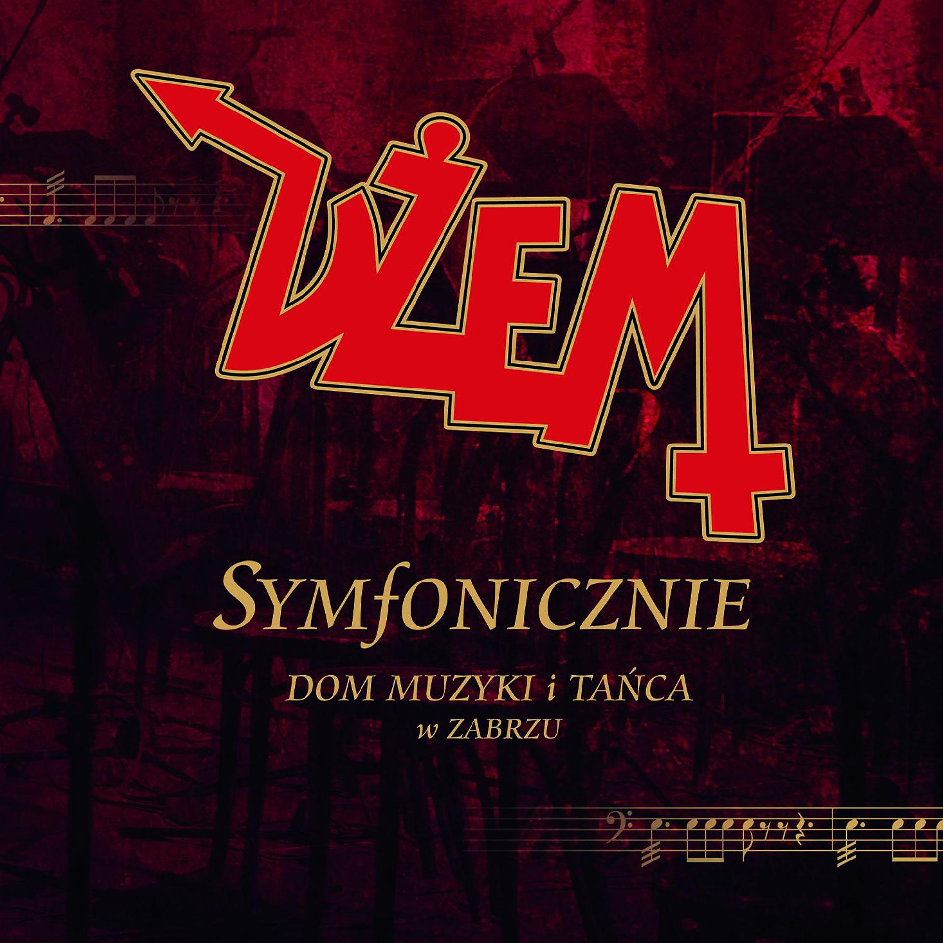 Постер альбома Symfonicznie [Live] (Live)