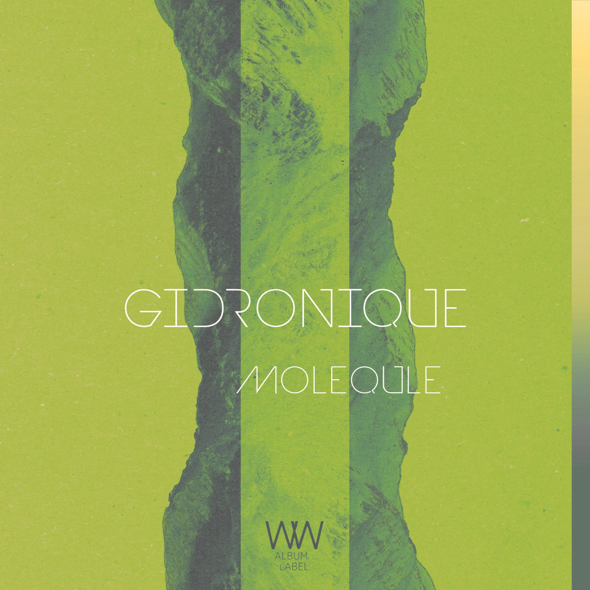 Постер альбома Molequle