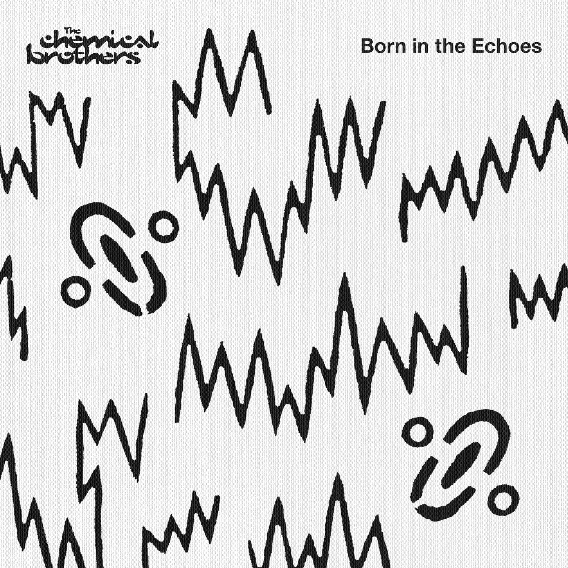 Постер альбома Born In The Echoes