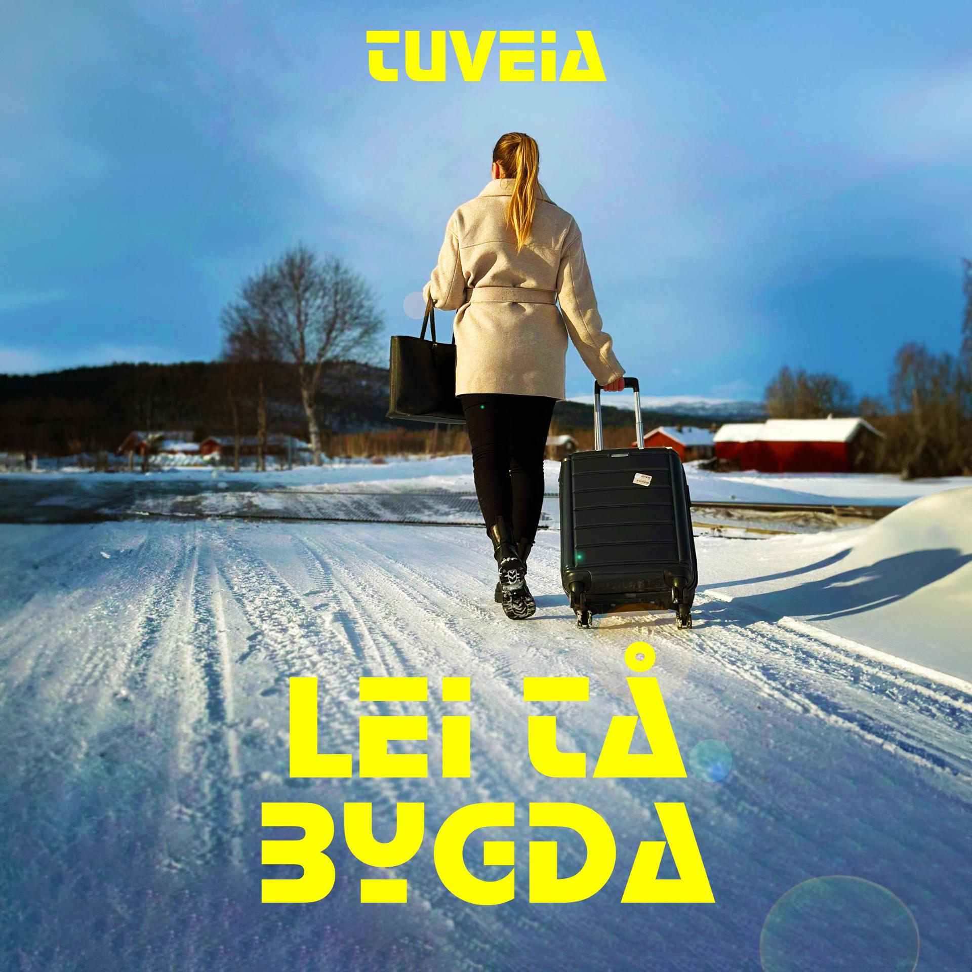 Постер альбома Lei Tå Bygda