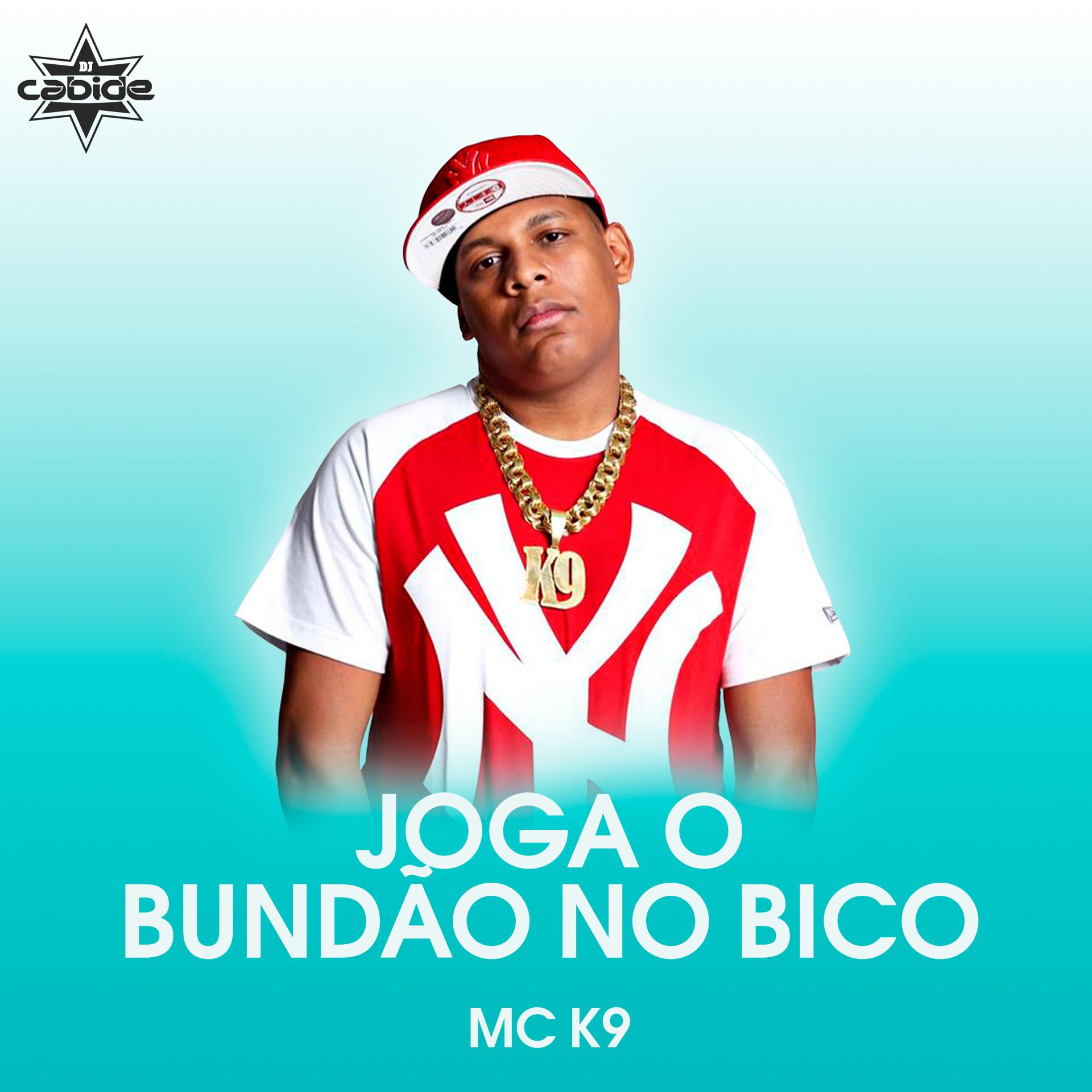 Постер альбома Joga o Bundão no Bico