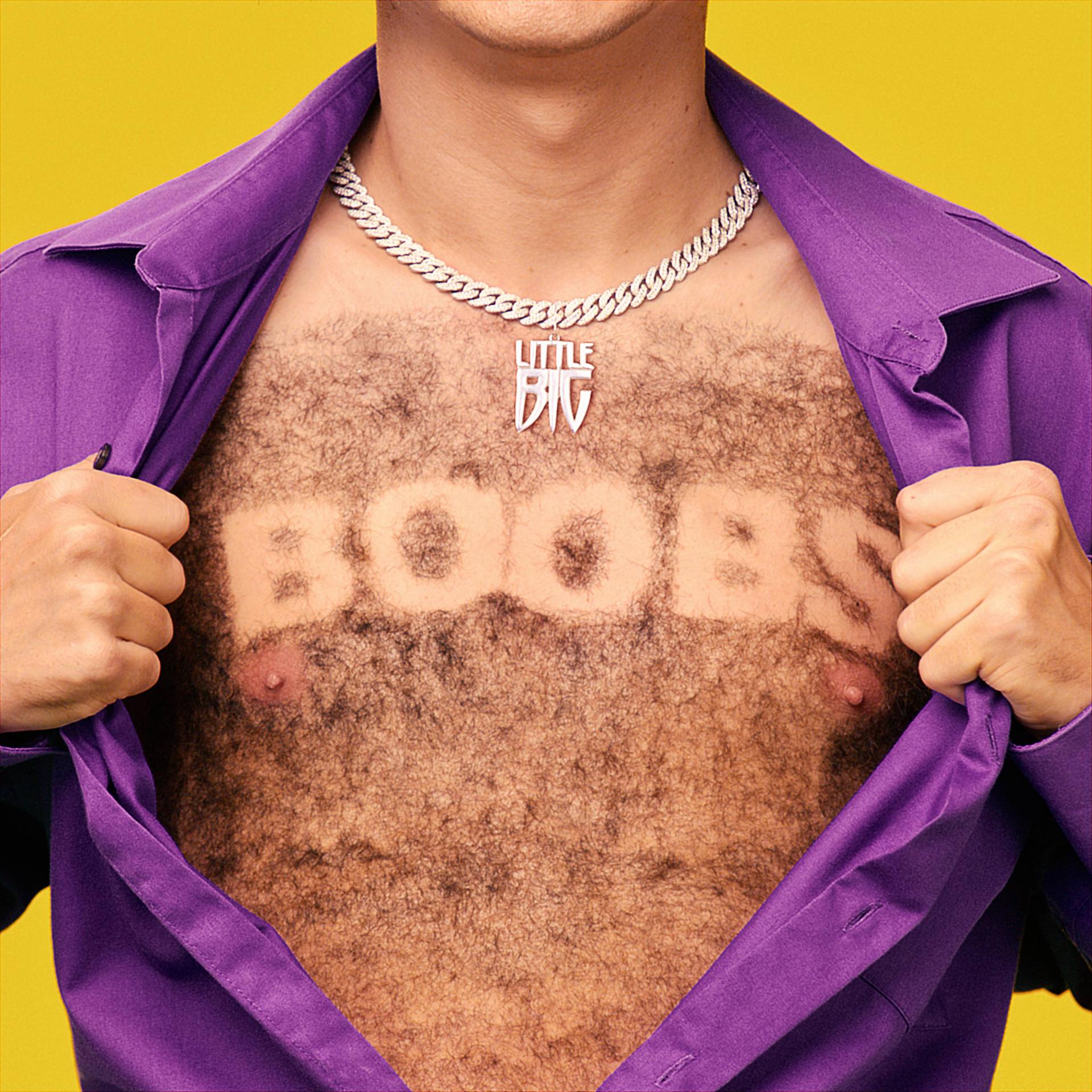 Постер альбома Boobs