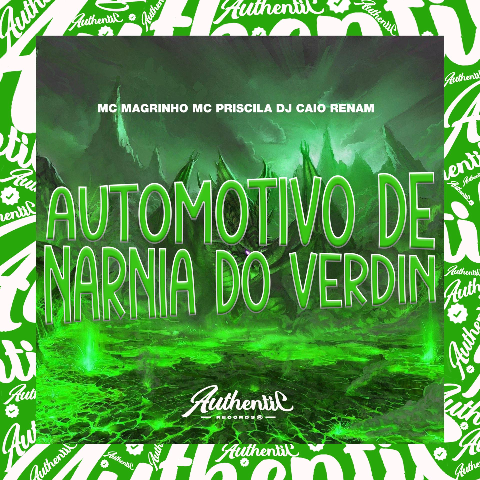 Постер альбома Automotivo de Narnia do Verdin
