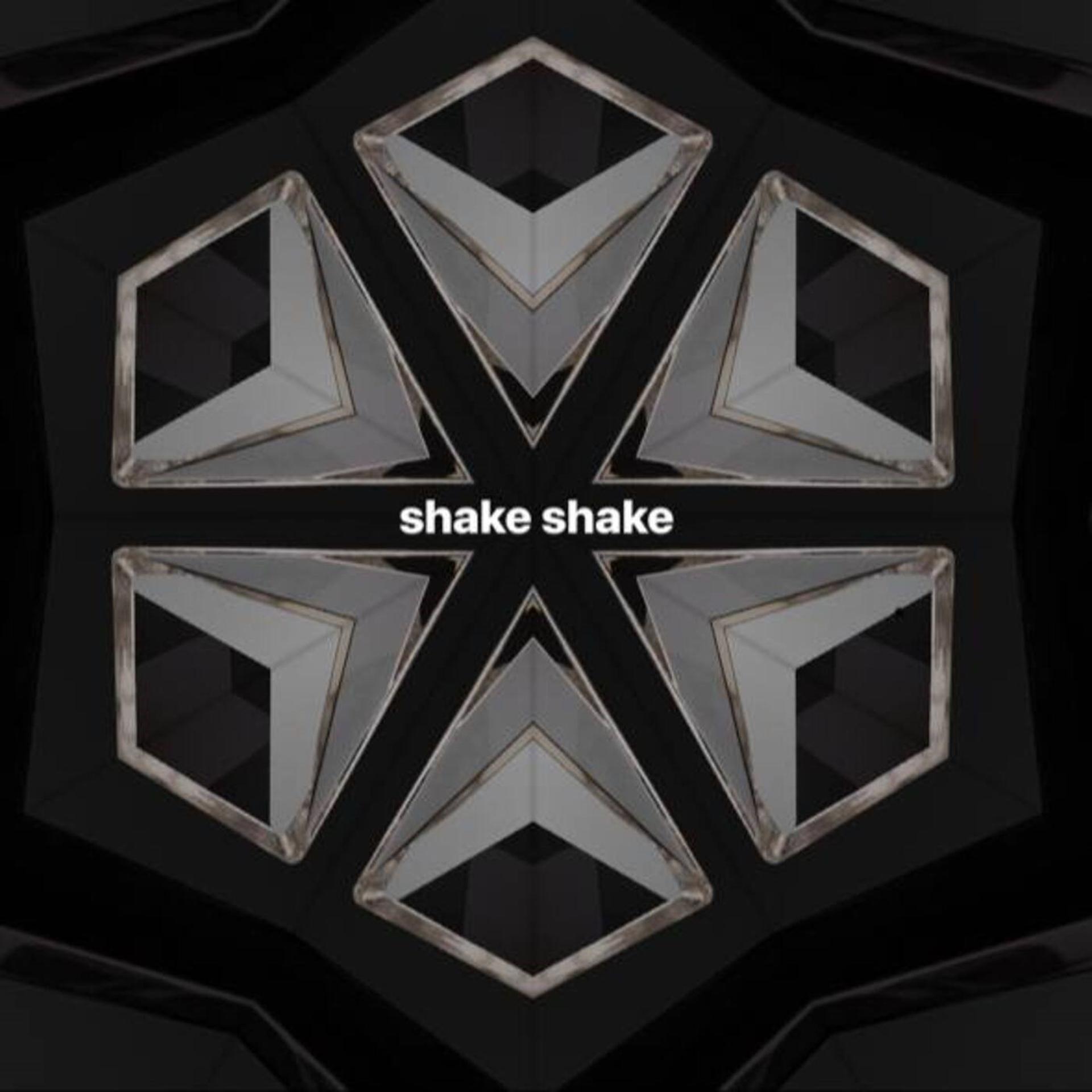 Постер альбома Shake Shake...