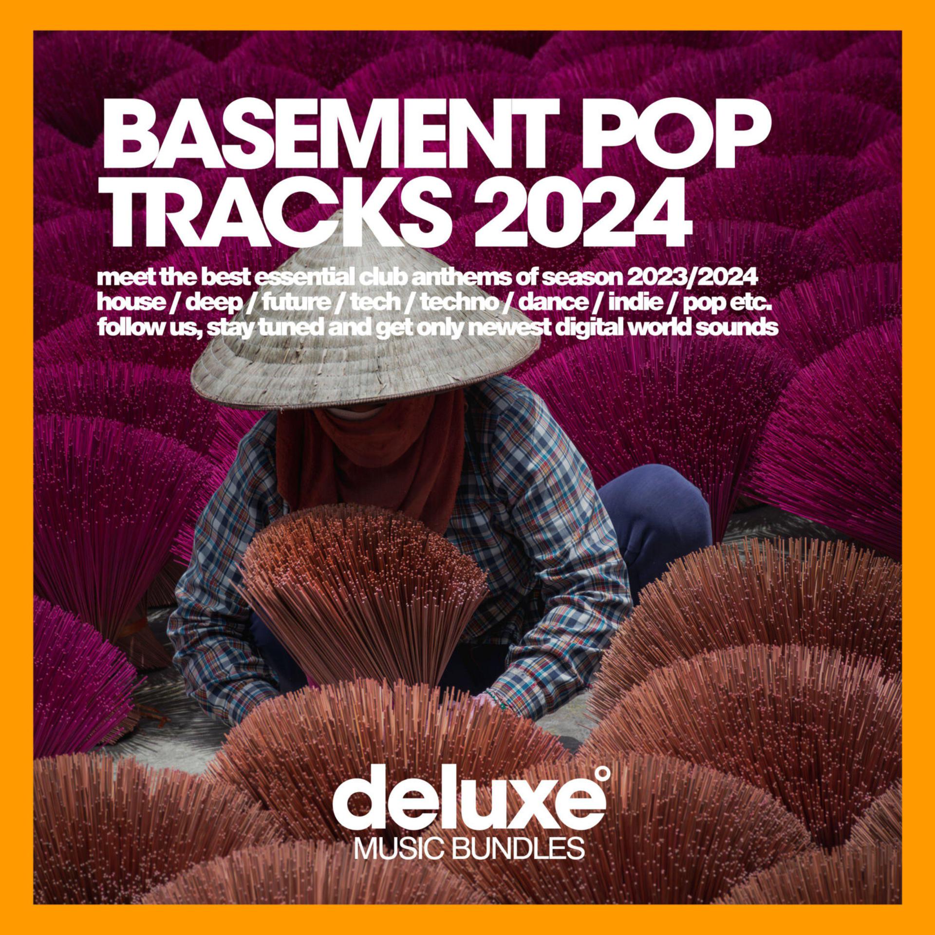 Постер альбома Basement Pop Tracks 2024