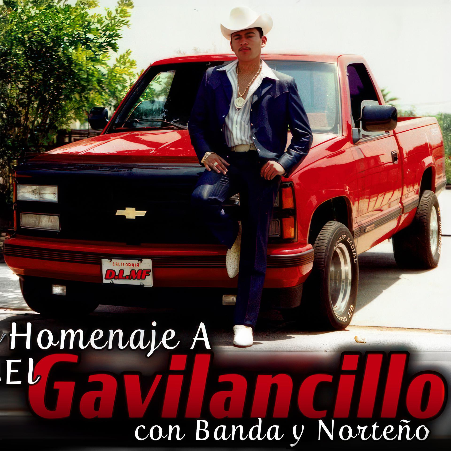 Постер альбома Homenaje a el Gavilancillo Con Banda Norteña