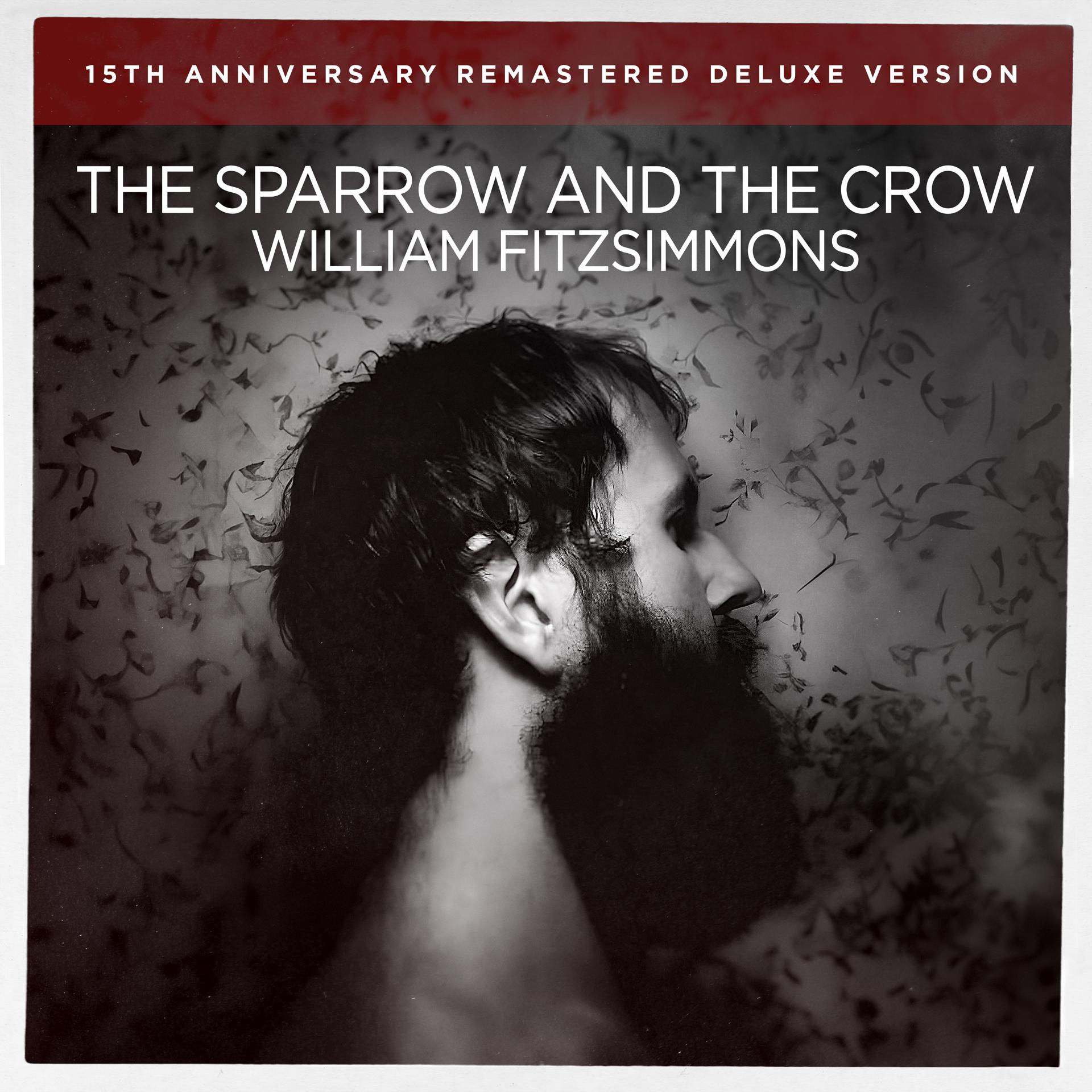 Постер альбома The Sparrow and the Crow