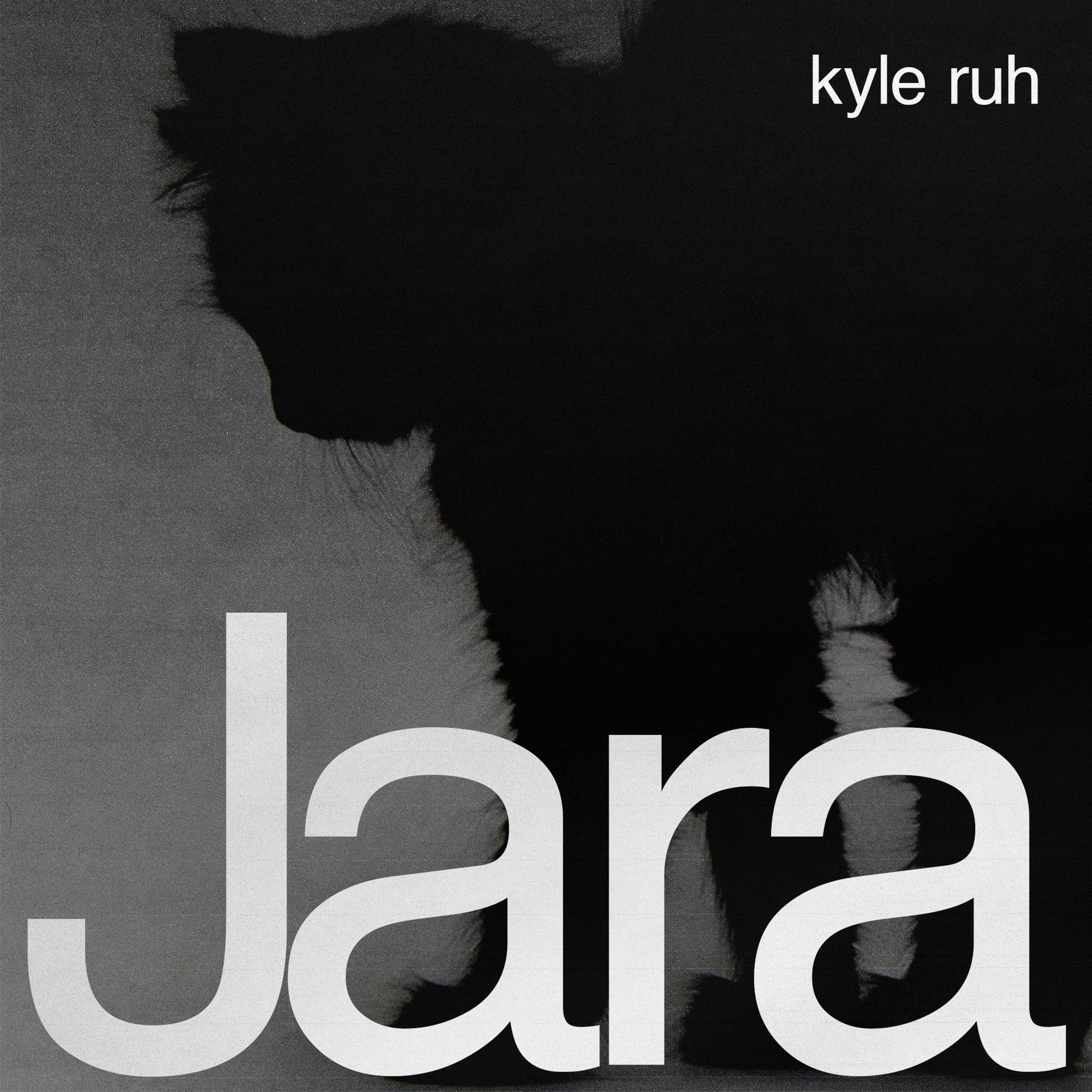 Постер альбома Jara