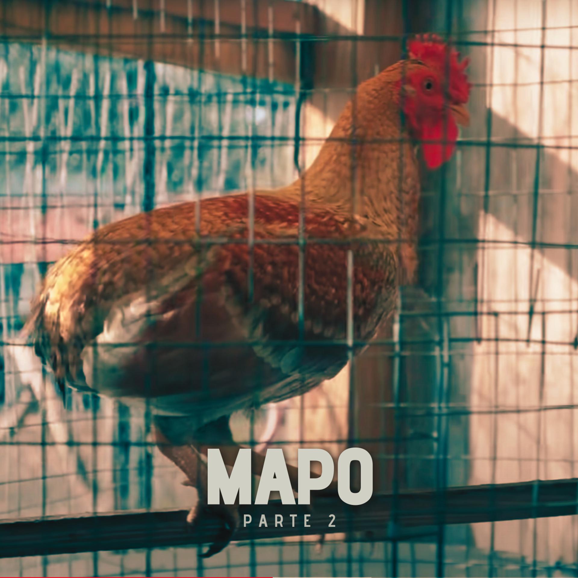 Постер альбома Mapo Parte 2