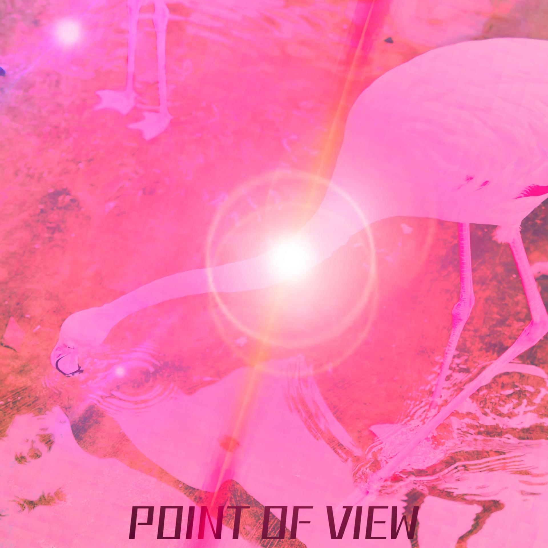 Постер альбома POINT OF VIEW