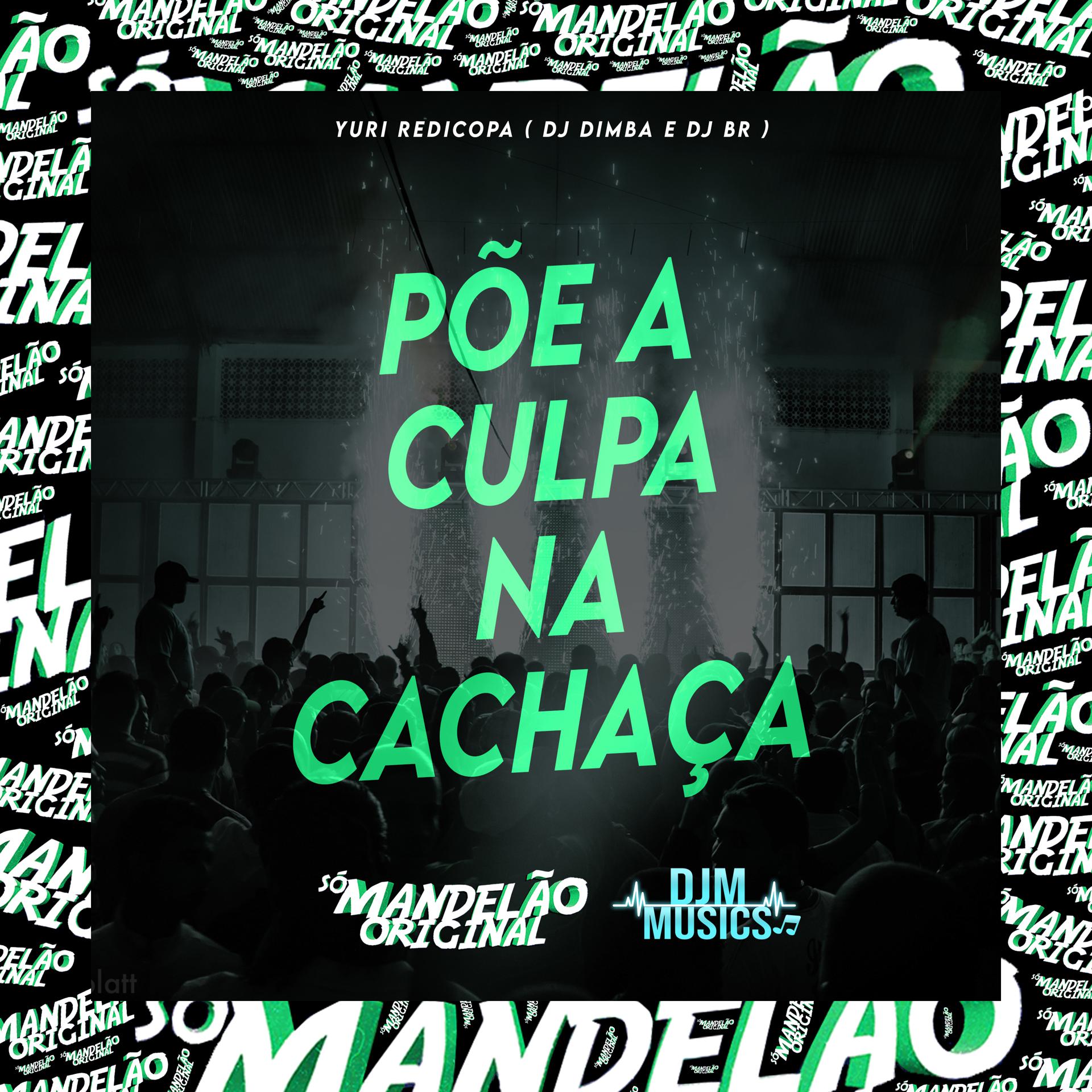 Постер альбома Põe a Culpa na Cachaça