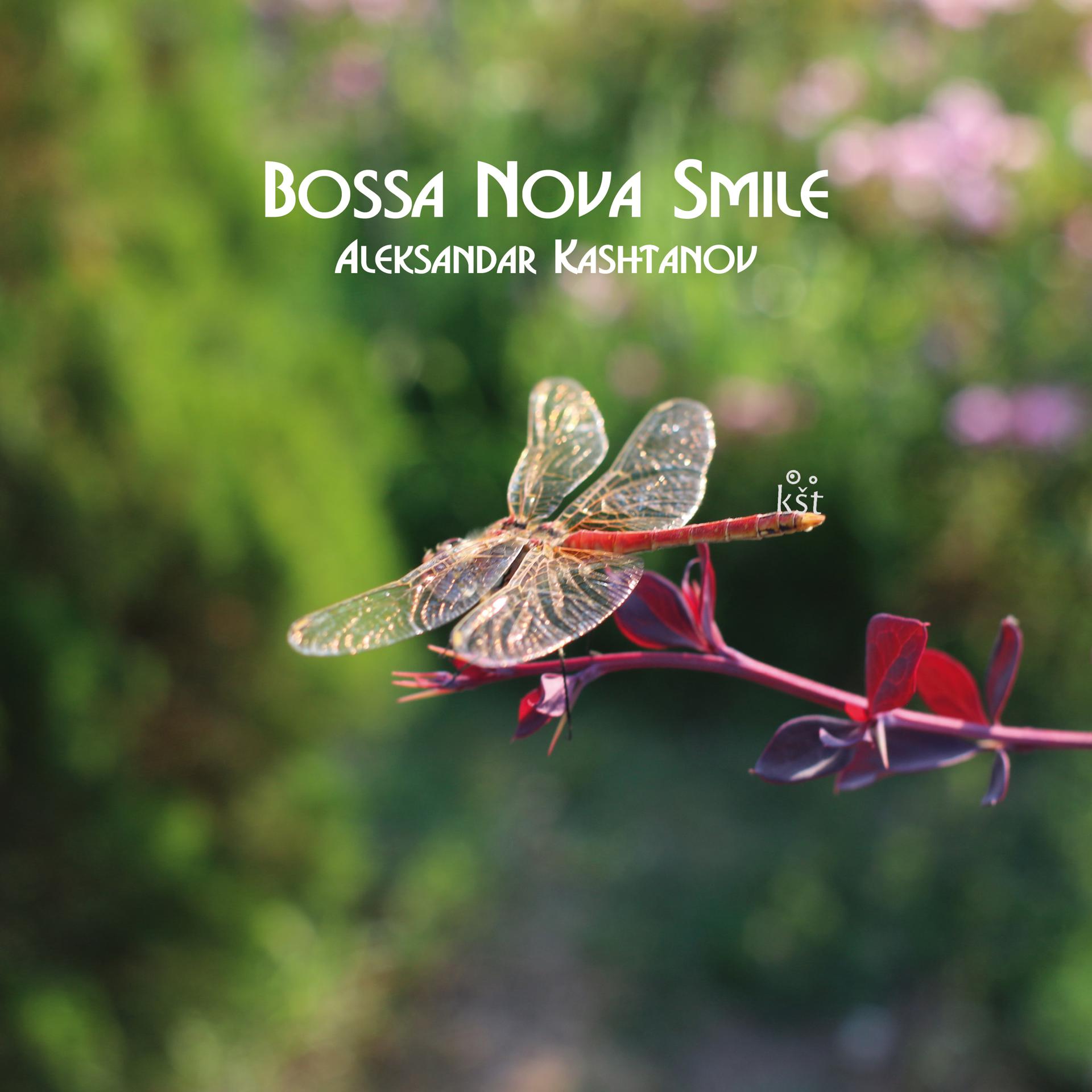 Постер альбома Bossa Nova Smile