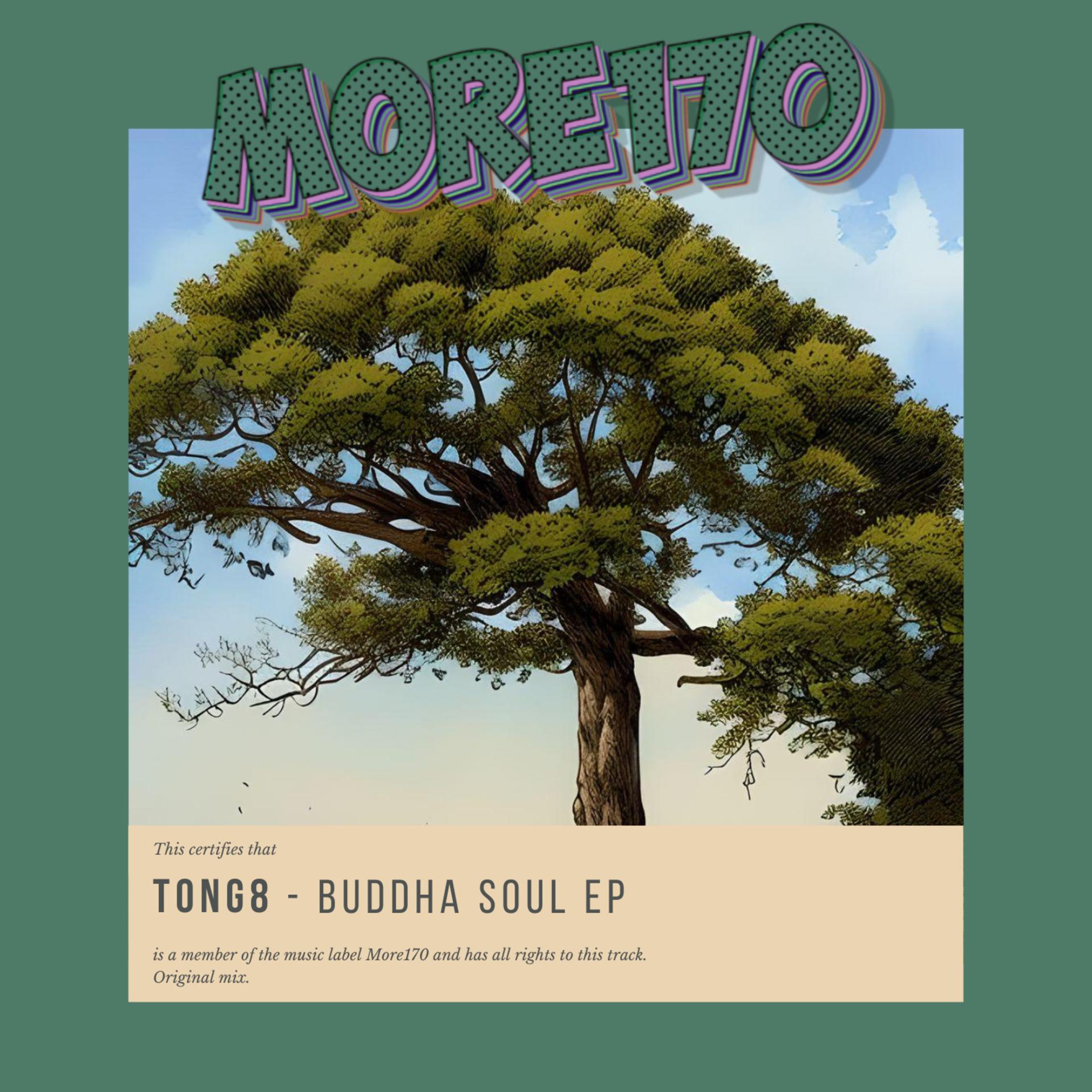 Постер альбома Buddha Soul EP