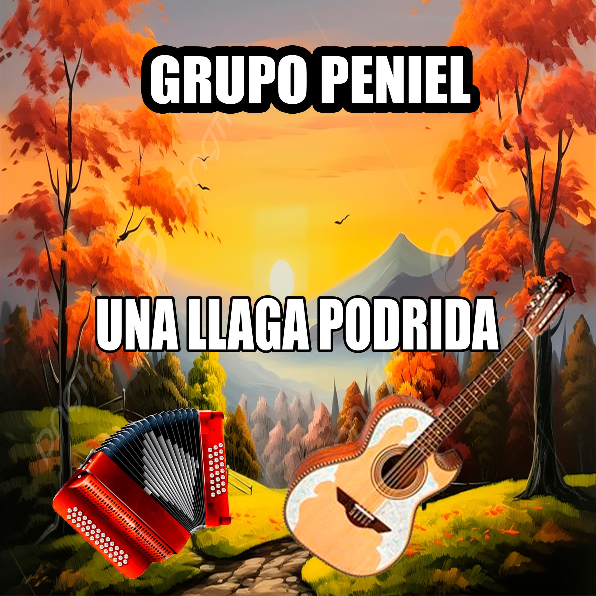 Постер альбома Una Llaga Podrida