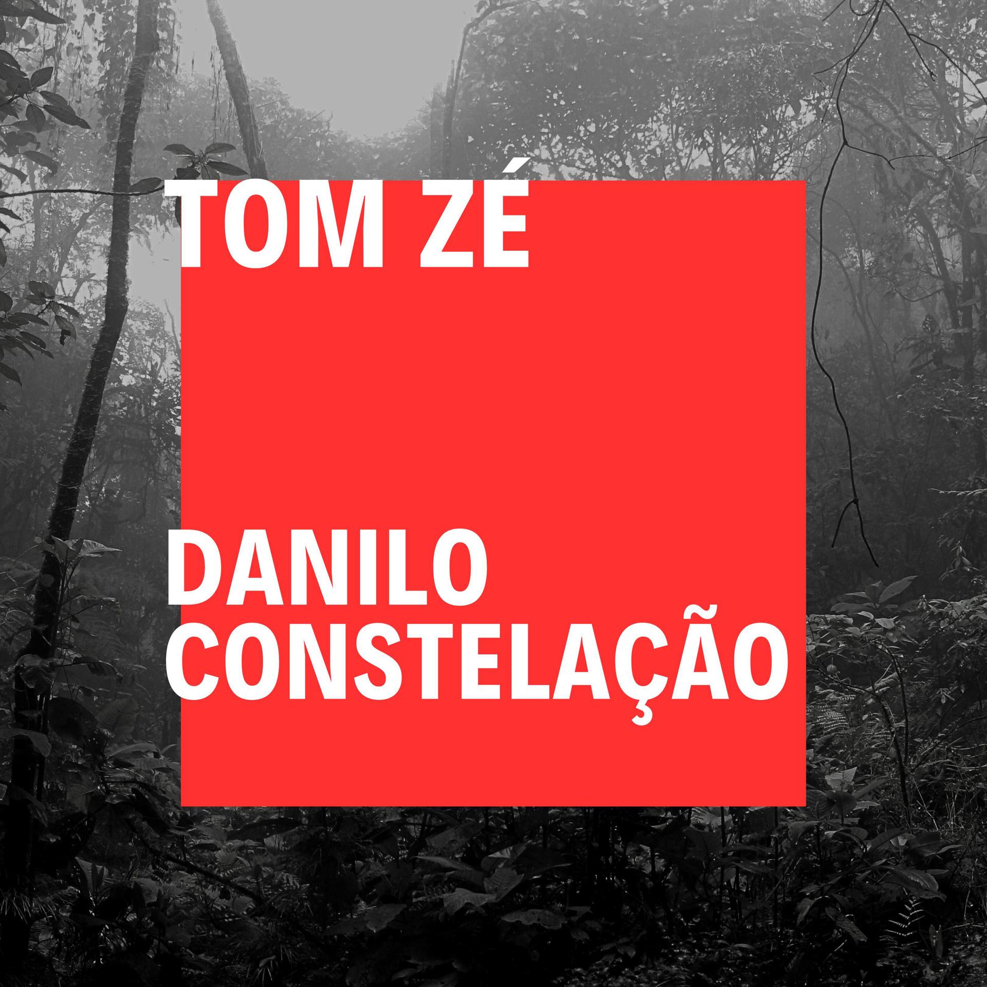 Постер альбома Danilo Constelação