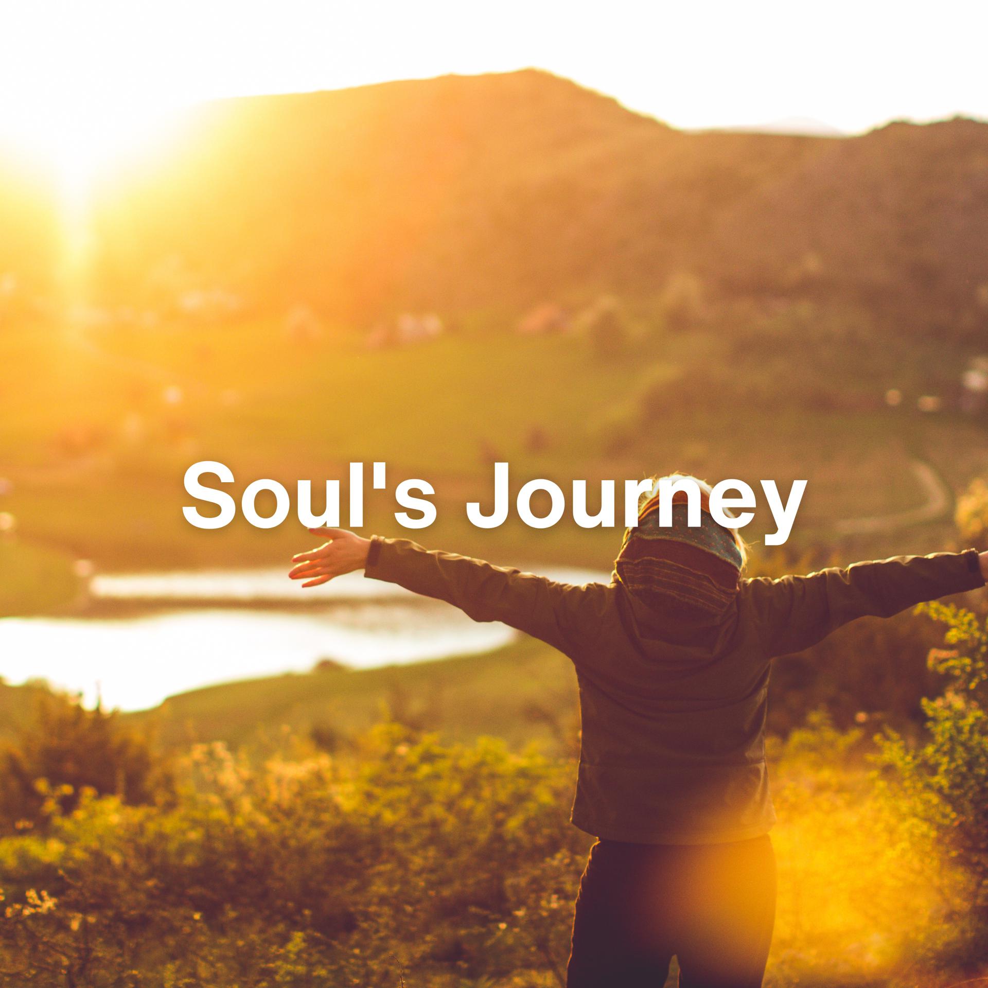 Постер альбома Soul's Journey