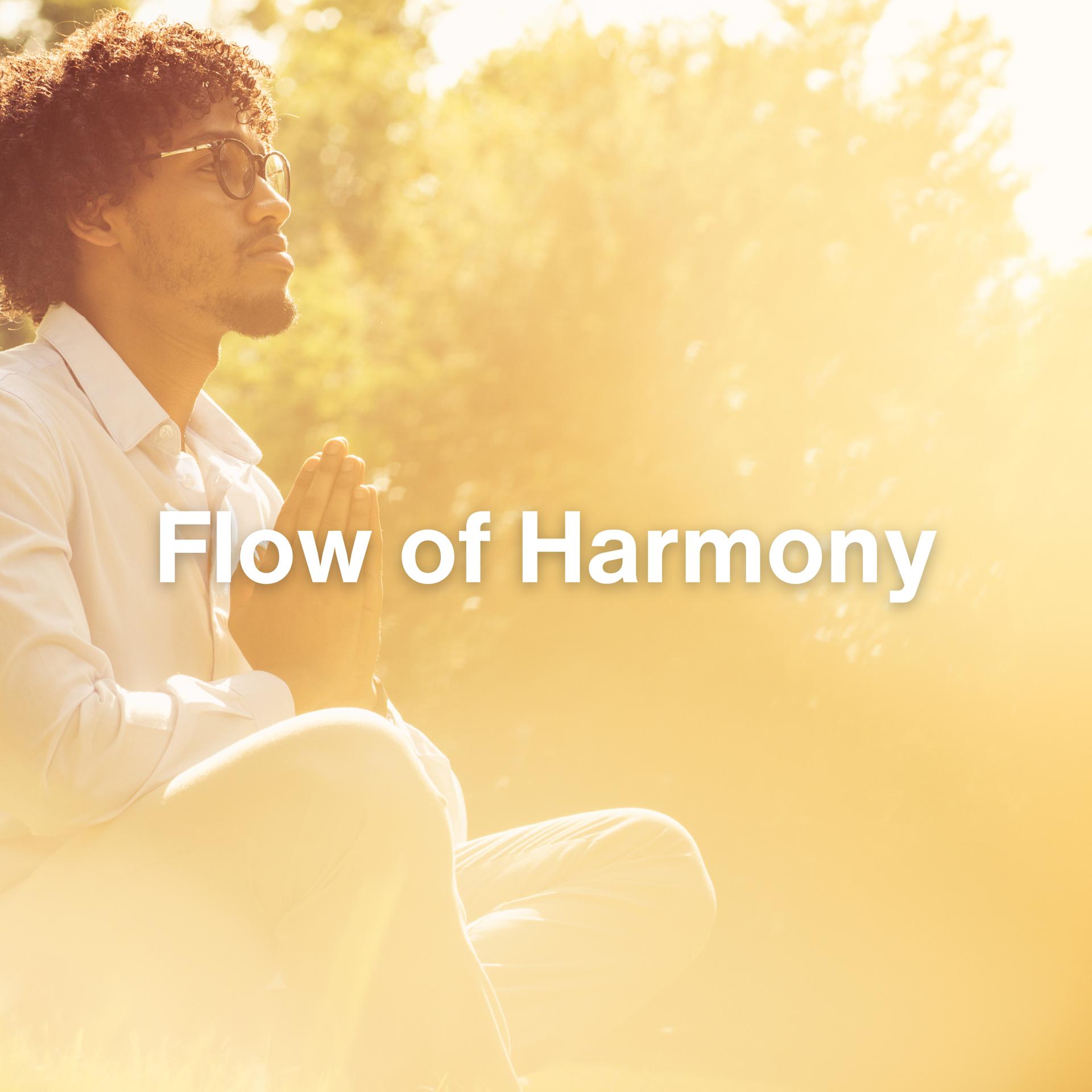Постер альбома Flow of Harmony