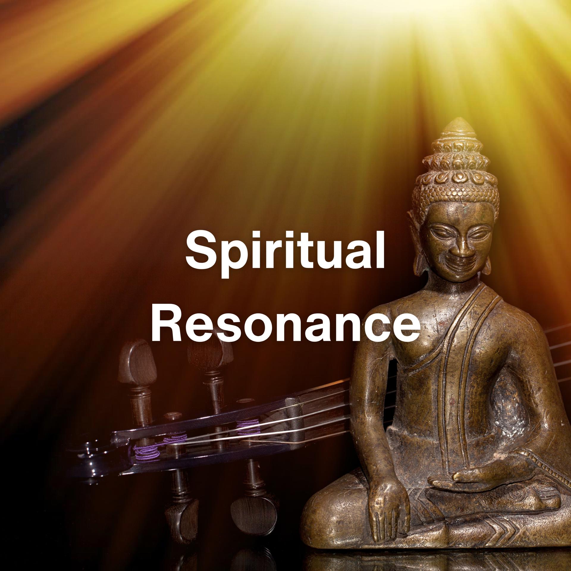 Постер альбома Spiritual Resonance