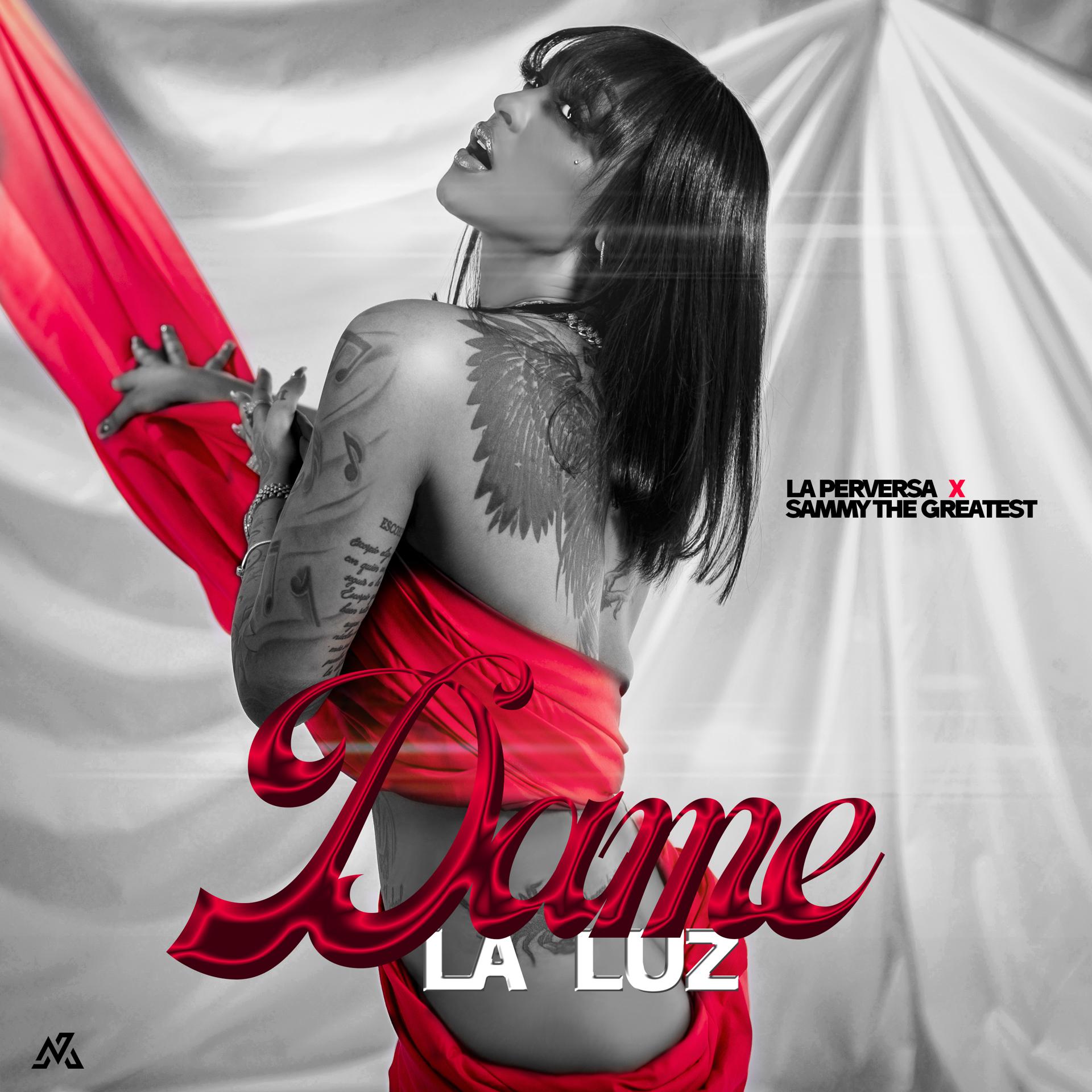 Постер альбома Dame la Luz