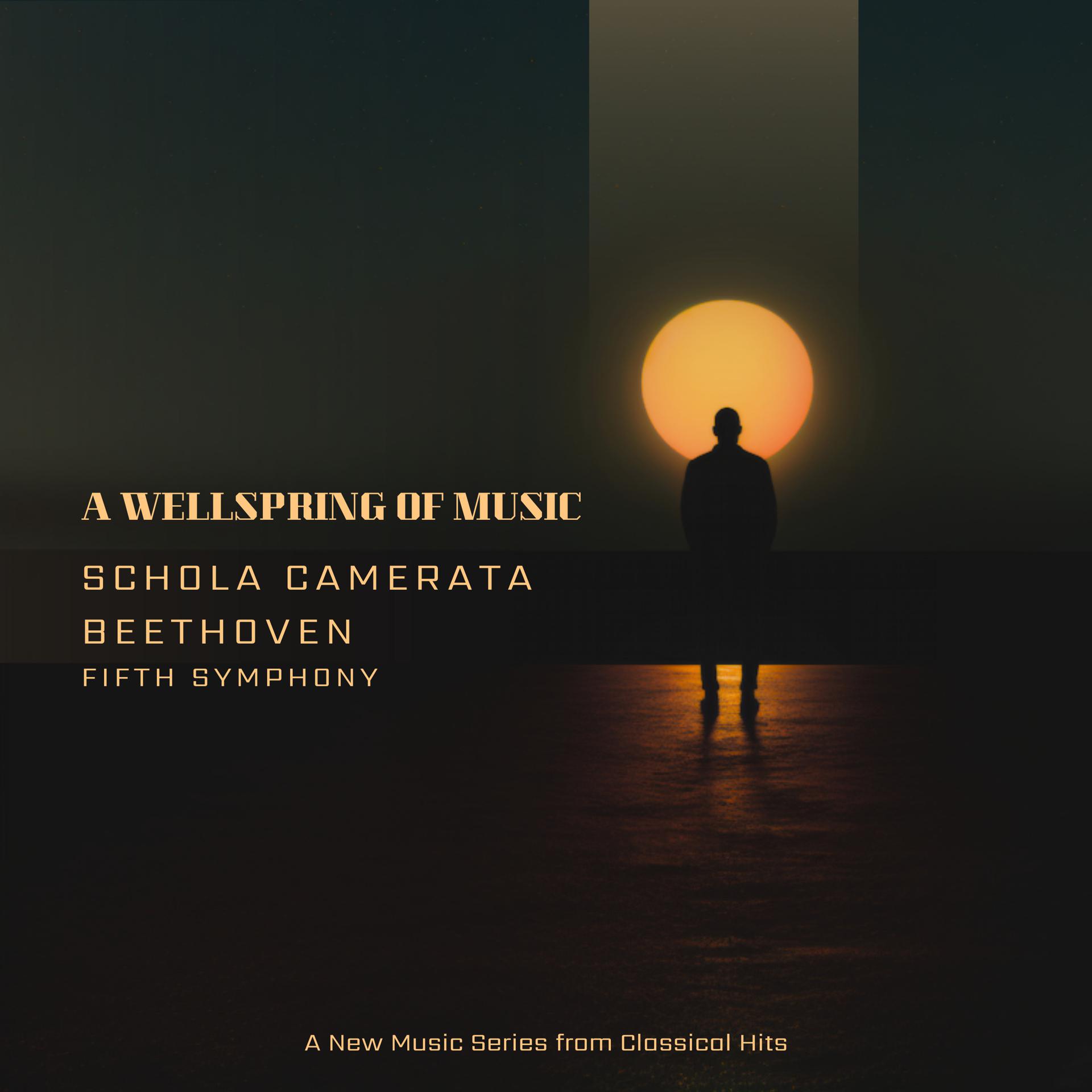 Постер альбома A Wellspring of Music - Fifth Symphony - Ludwig Van Beethoven - A New Music Series from Classical Hits