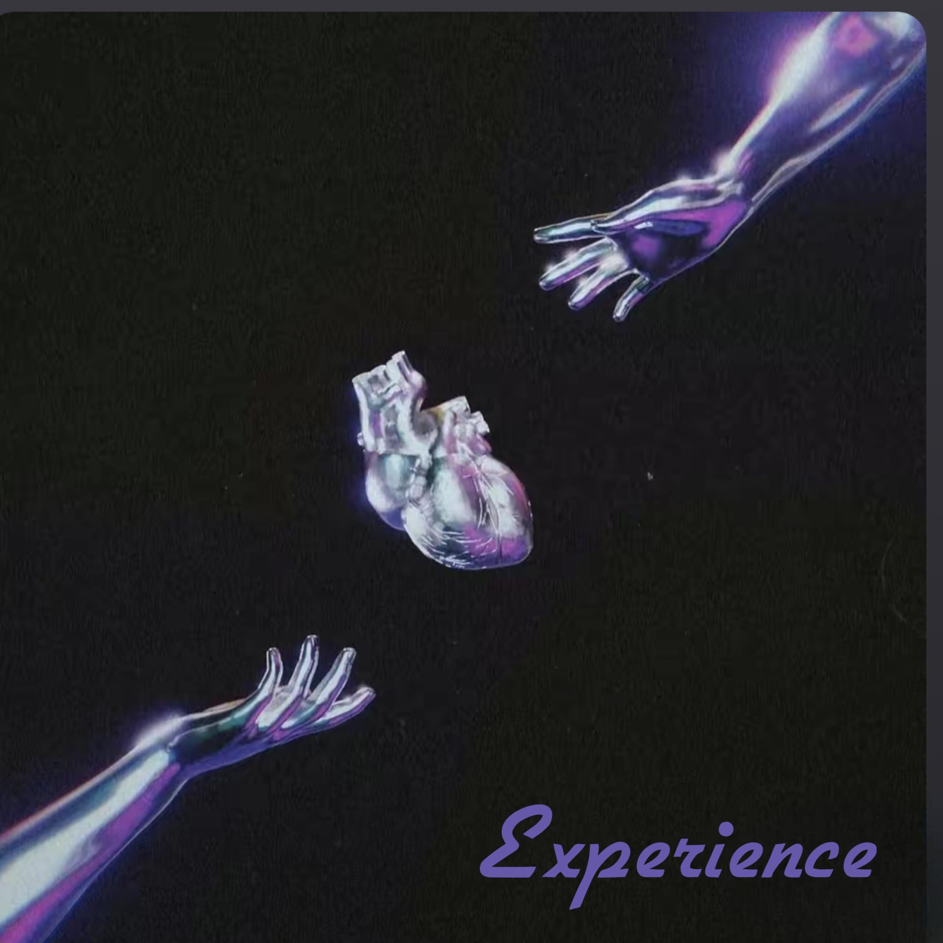 Постер альбома Experience