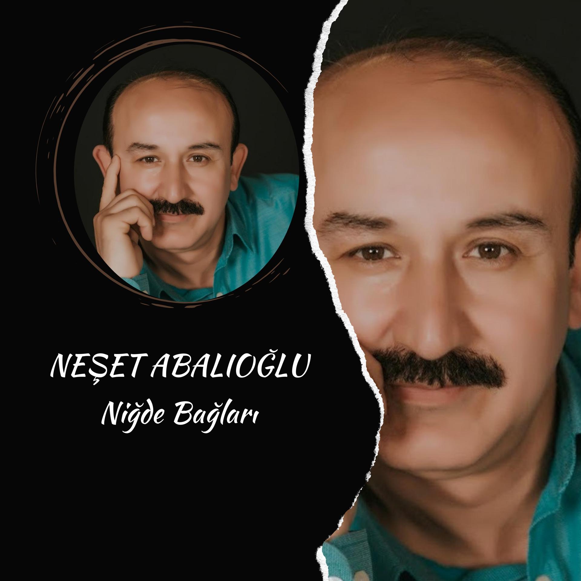 Постер альбома Niğde Bağları