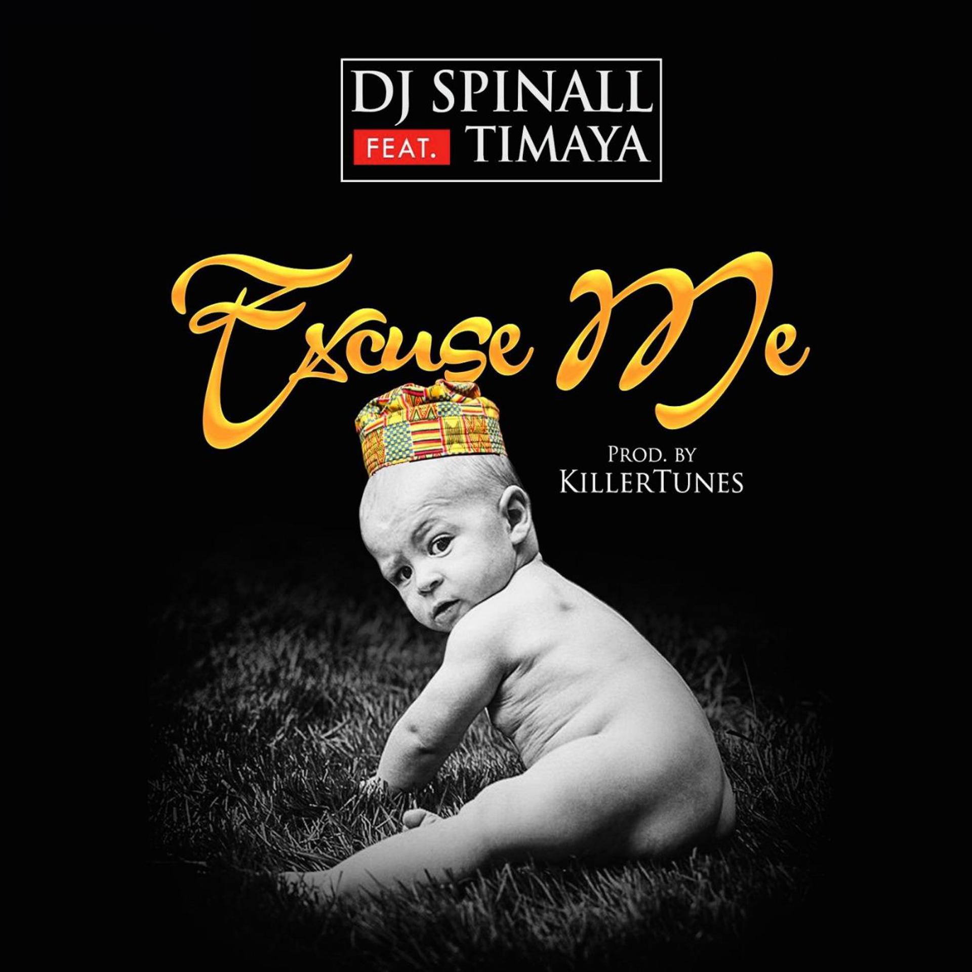 Постер альбома Excuse Me (feat. Timaya)