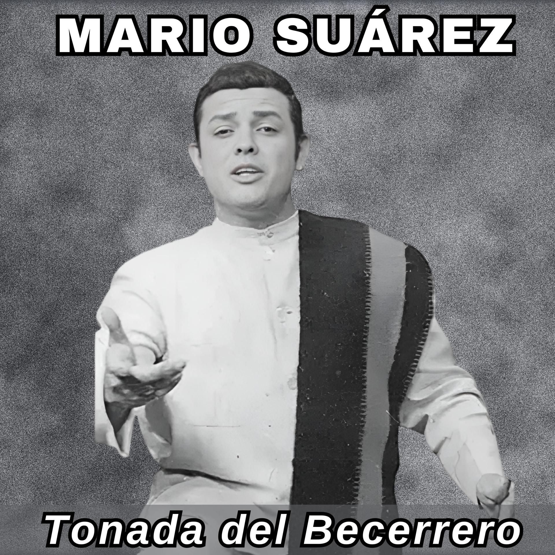 Постер альбома Tonada del Becerrero