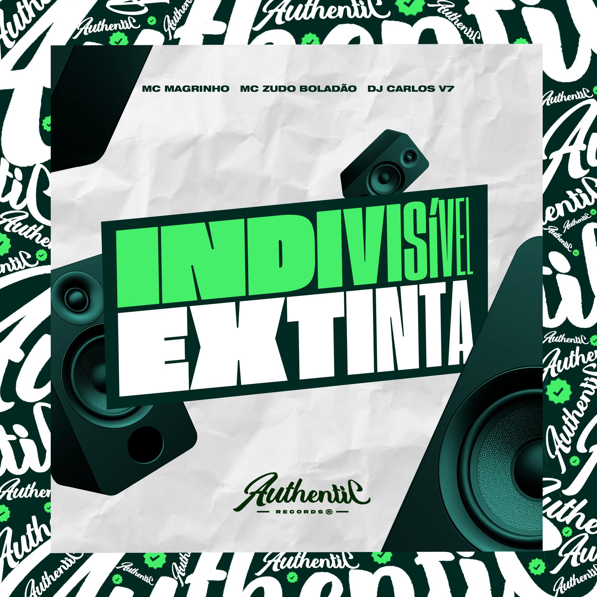 Постер альбома Indivisível Extinta