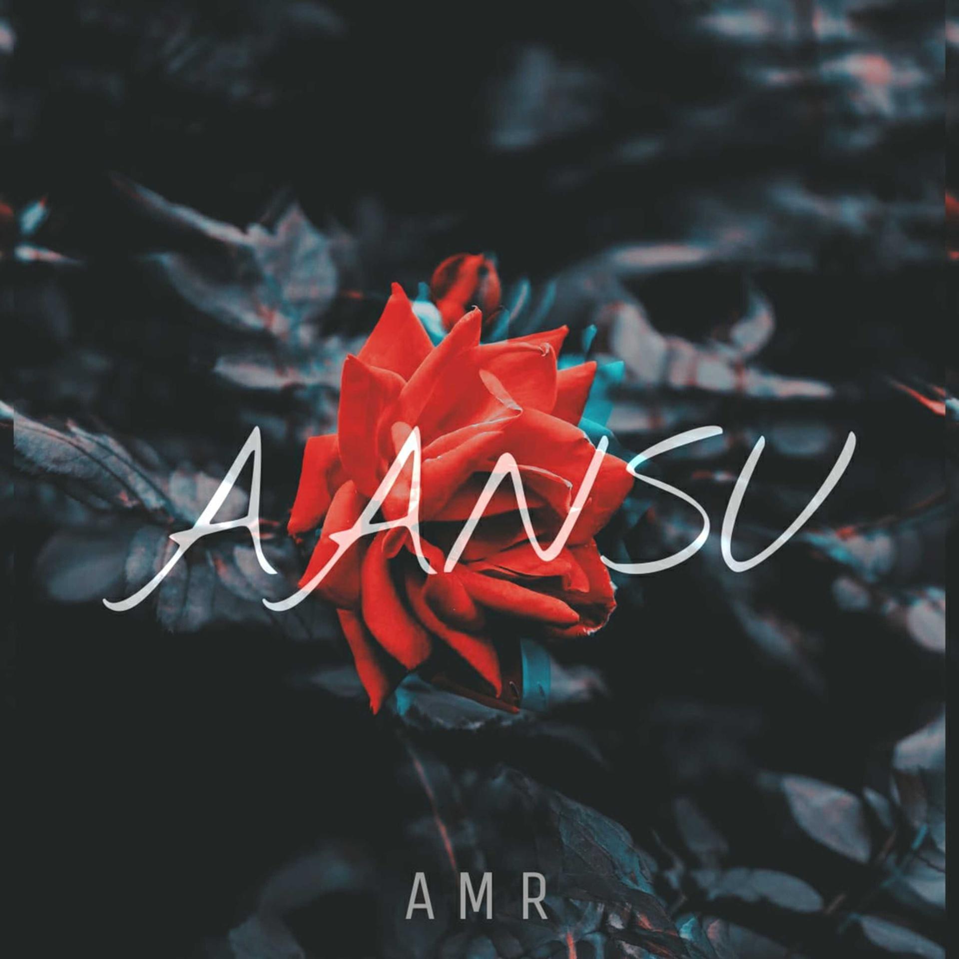 Постер альбома AANSU