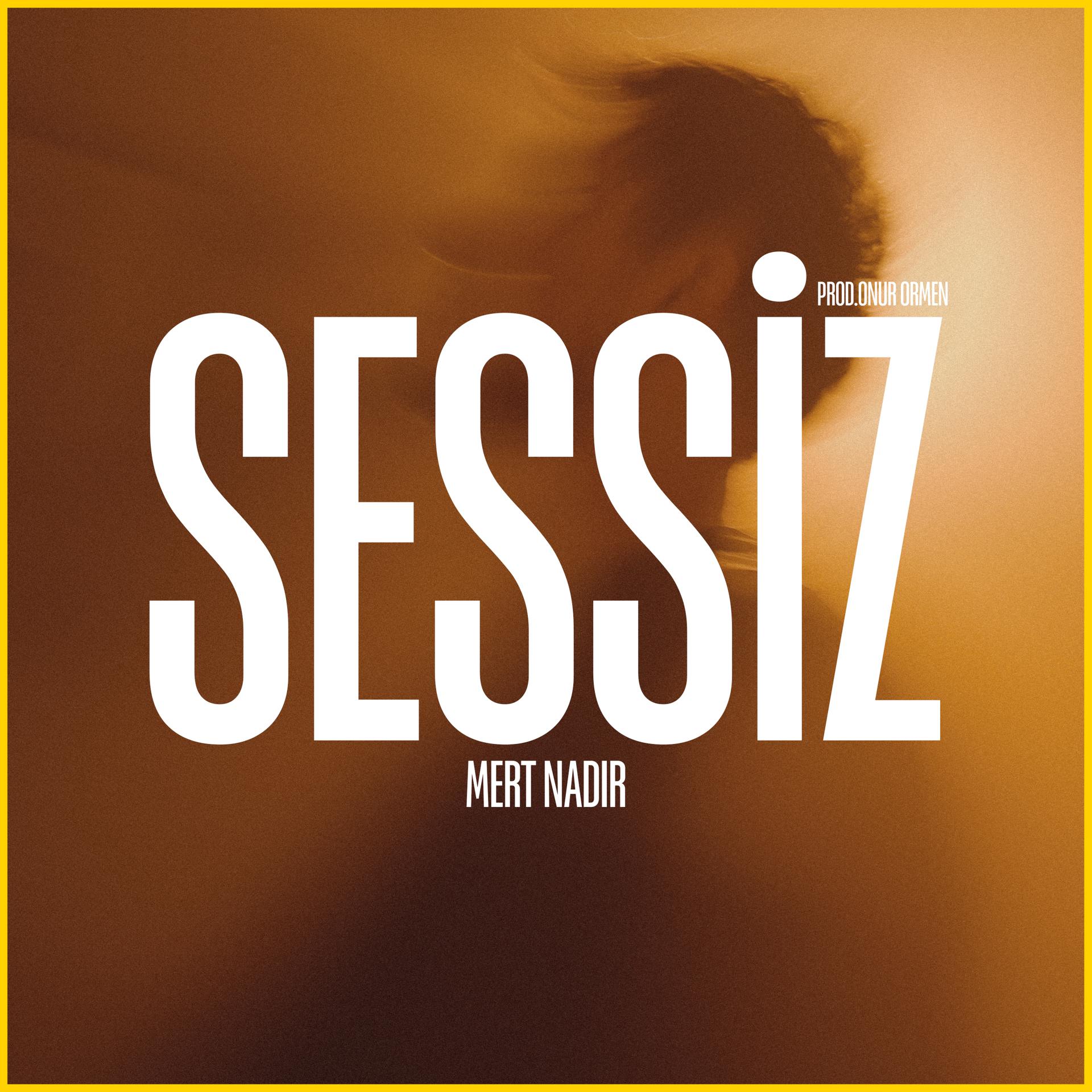 Постер альбома Sessiz