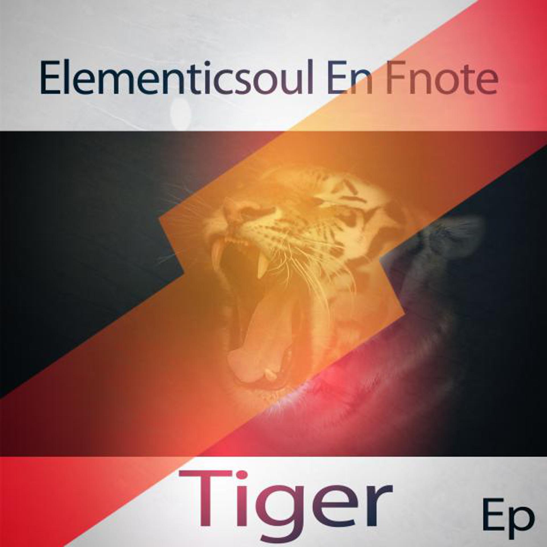 Постер альбома Tiger EP