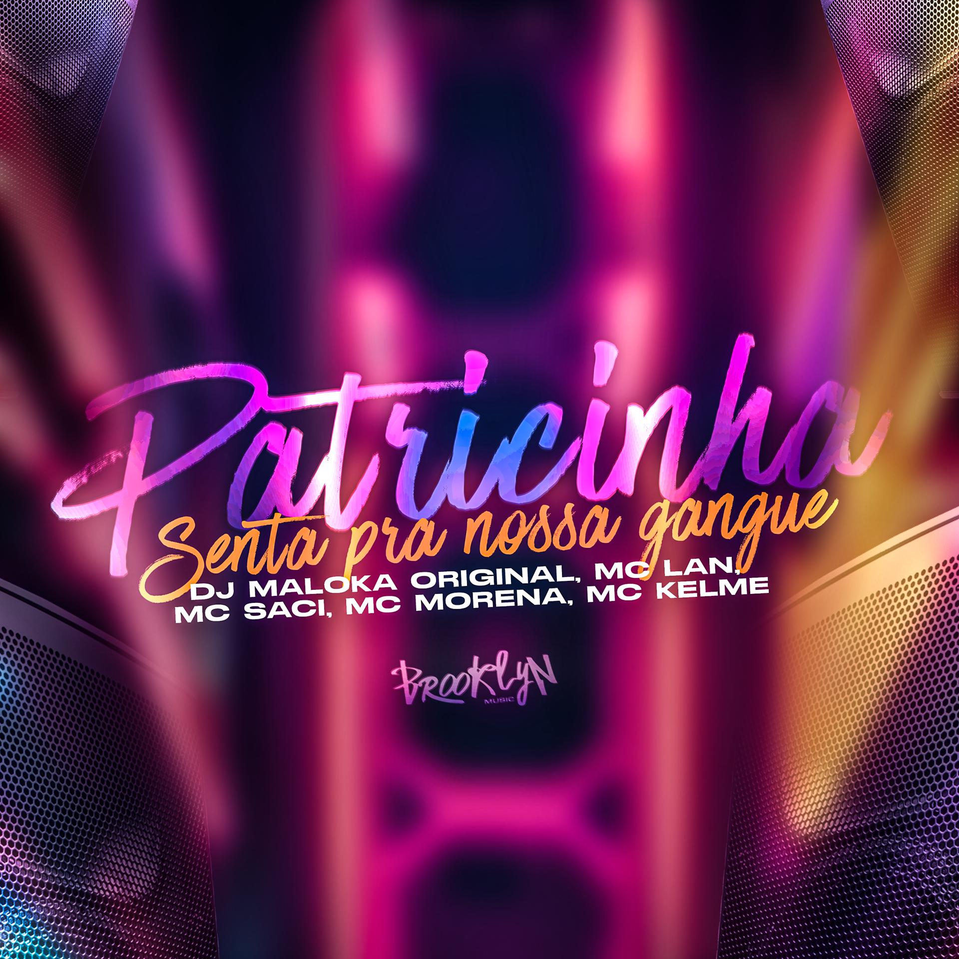 Постер альбома Patricinha - Senta pra Nossa Gangue