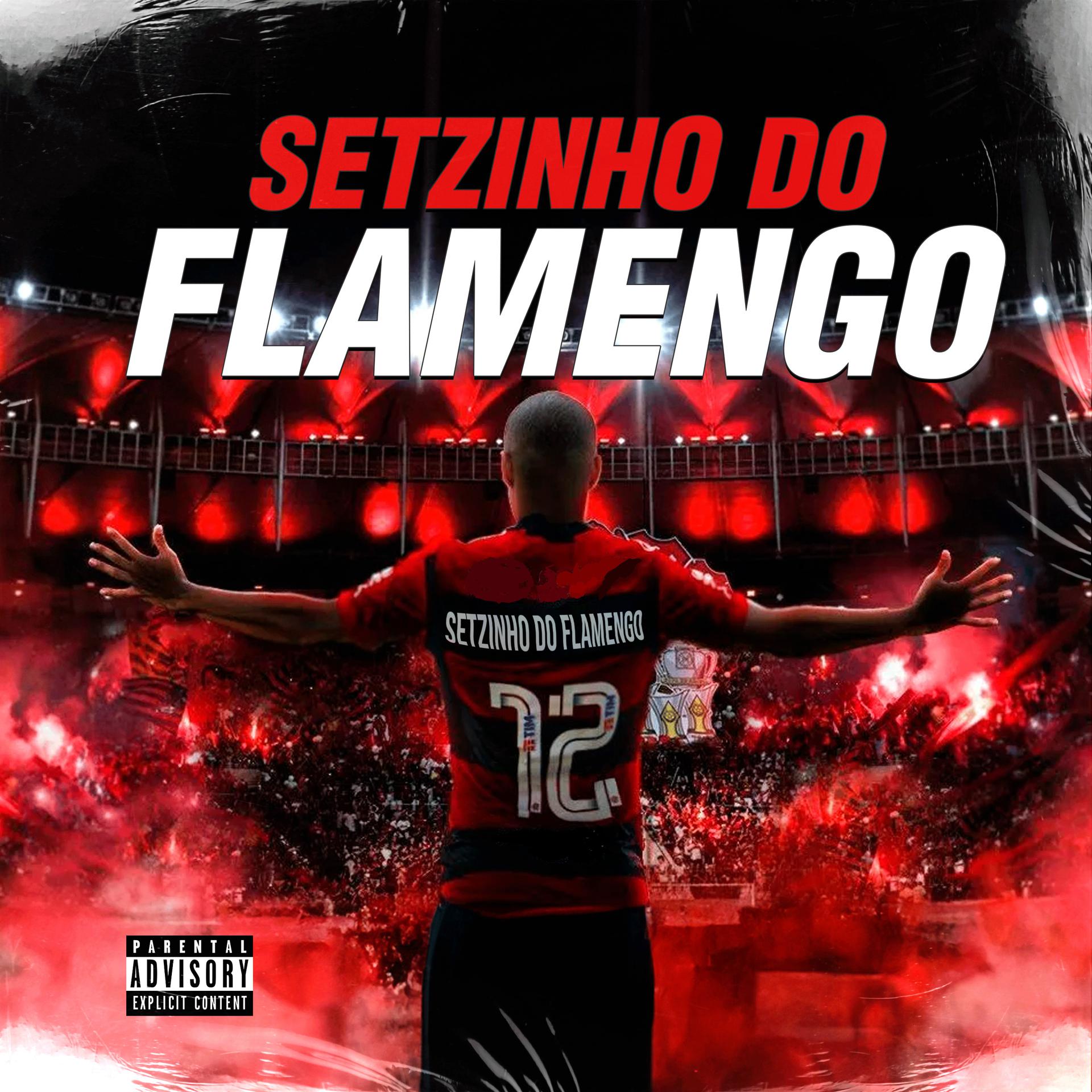 Постер альбома Setzinho do Flamengo