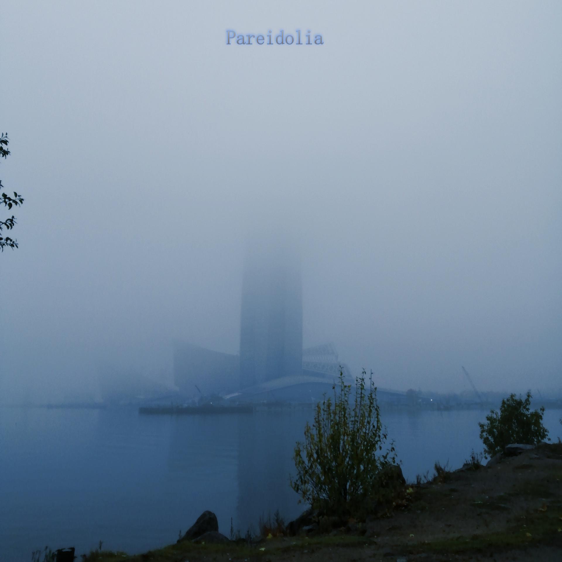 Постер альбома Pareidolia