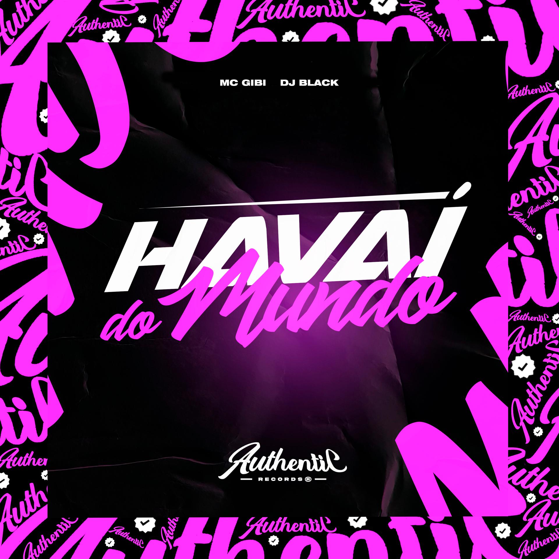 Постер альбома Havaí do Mundo do Funk