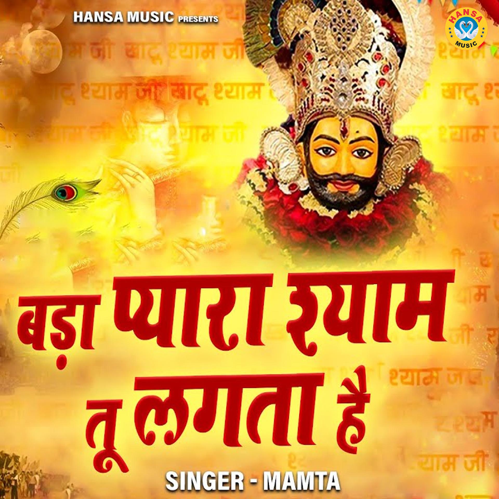 Постер альбома Bada Pyara Shyam Tu Lagta Hai