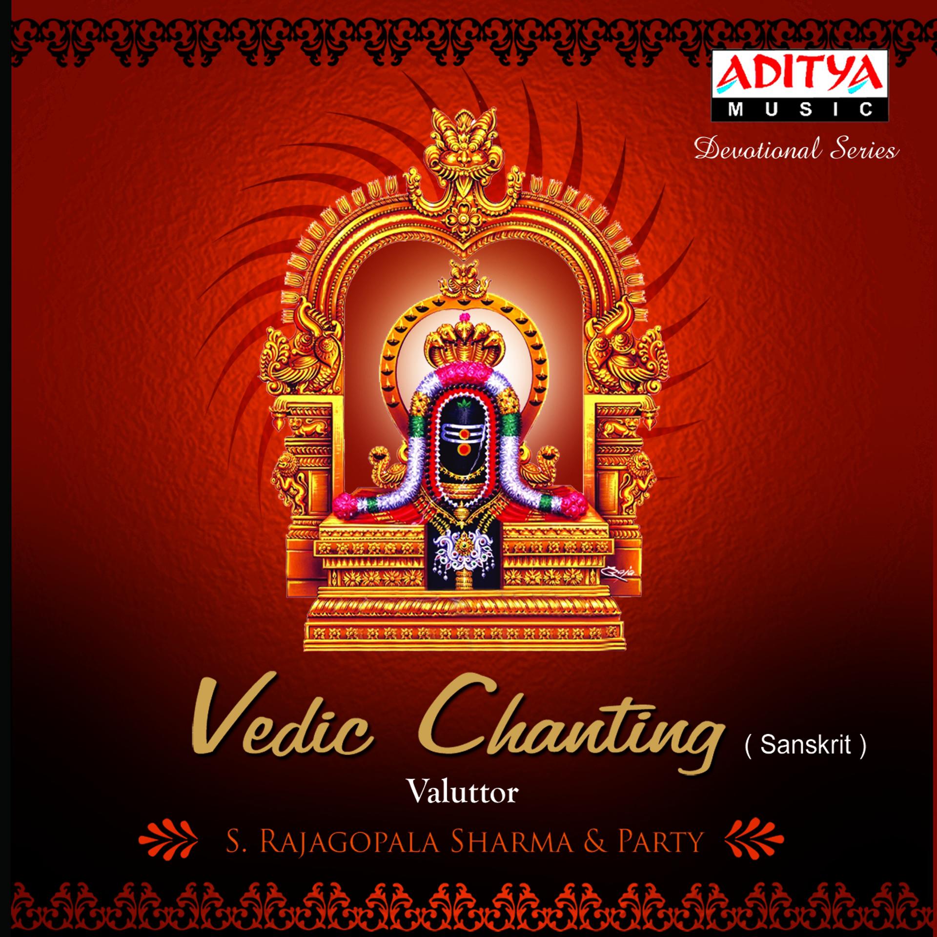 Постер альбома Vedic Chanting