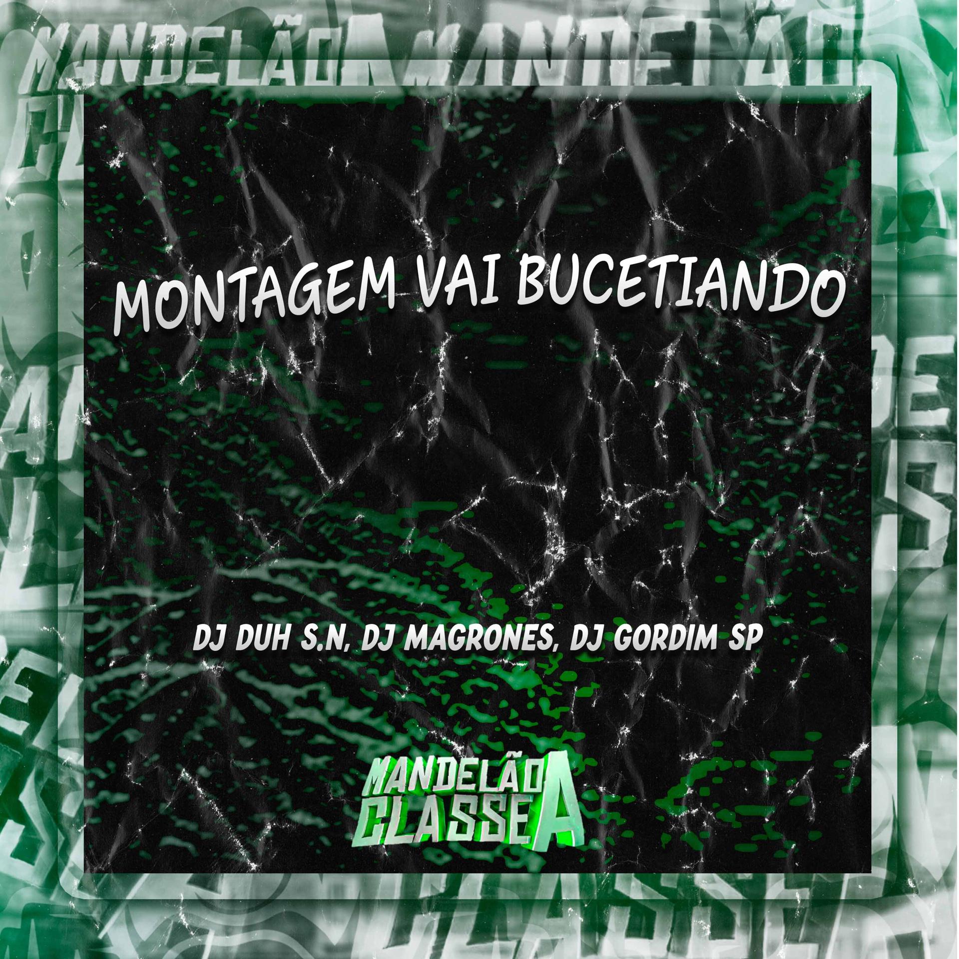 Постер альбома Montagem Vai Bucetiando