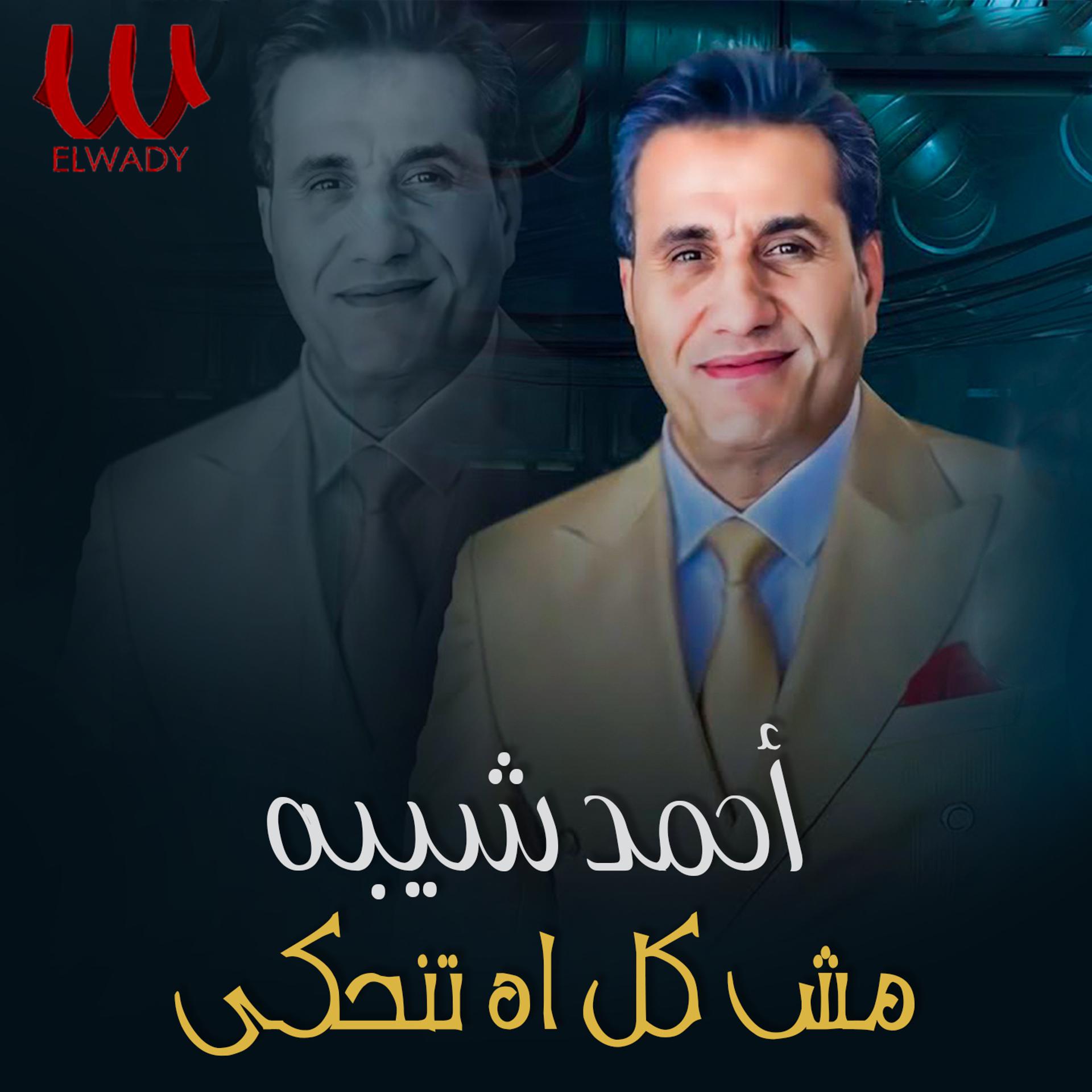 Постер альбома مش كل اه تنحكي