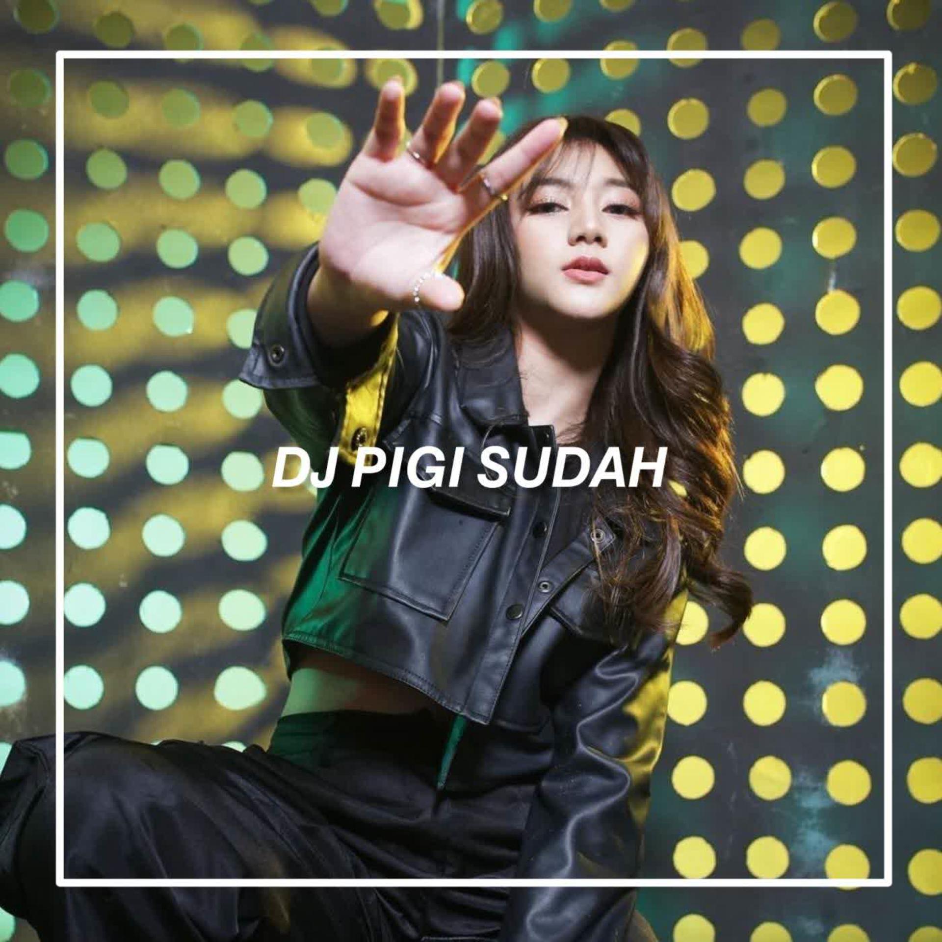 Постер альбома DJ PIGI SUDAH