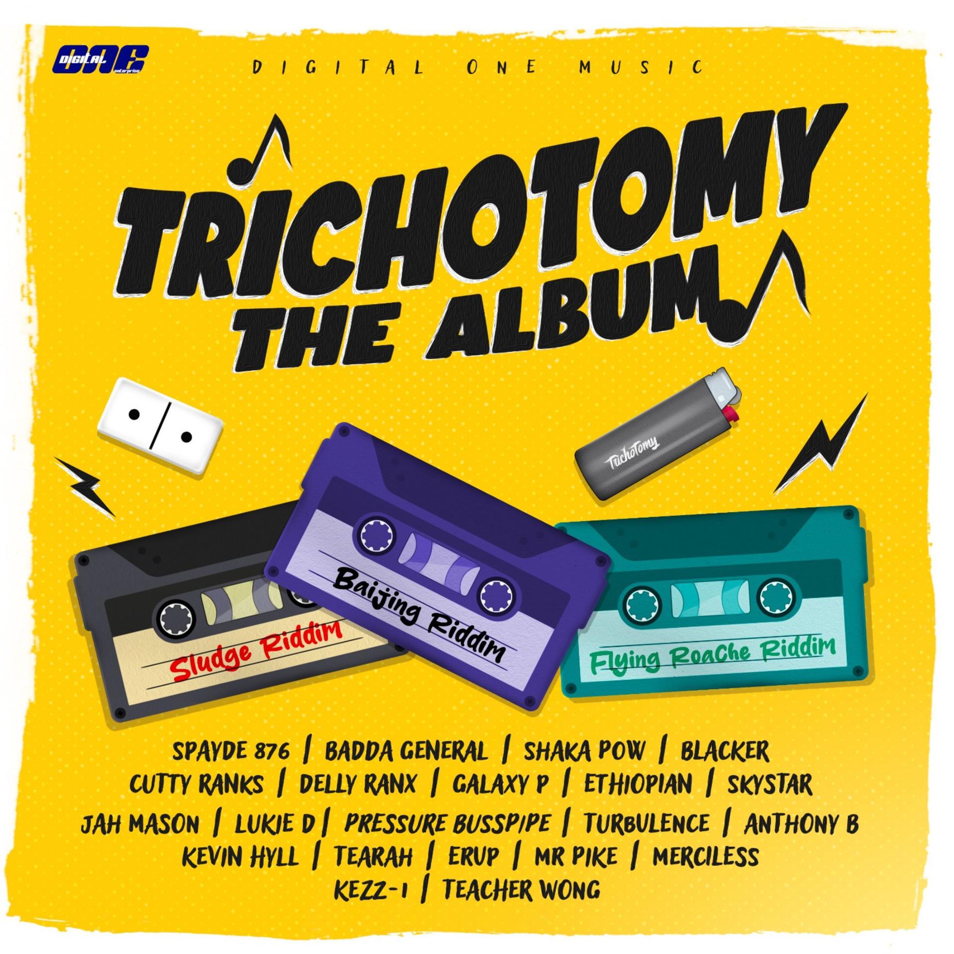 Постер альбома Trichotomy the Album (Sludge Riddim / Flying Roache Riddim)Baijing Riddim / )