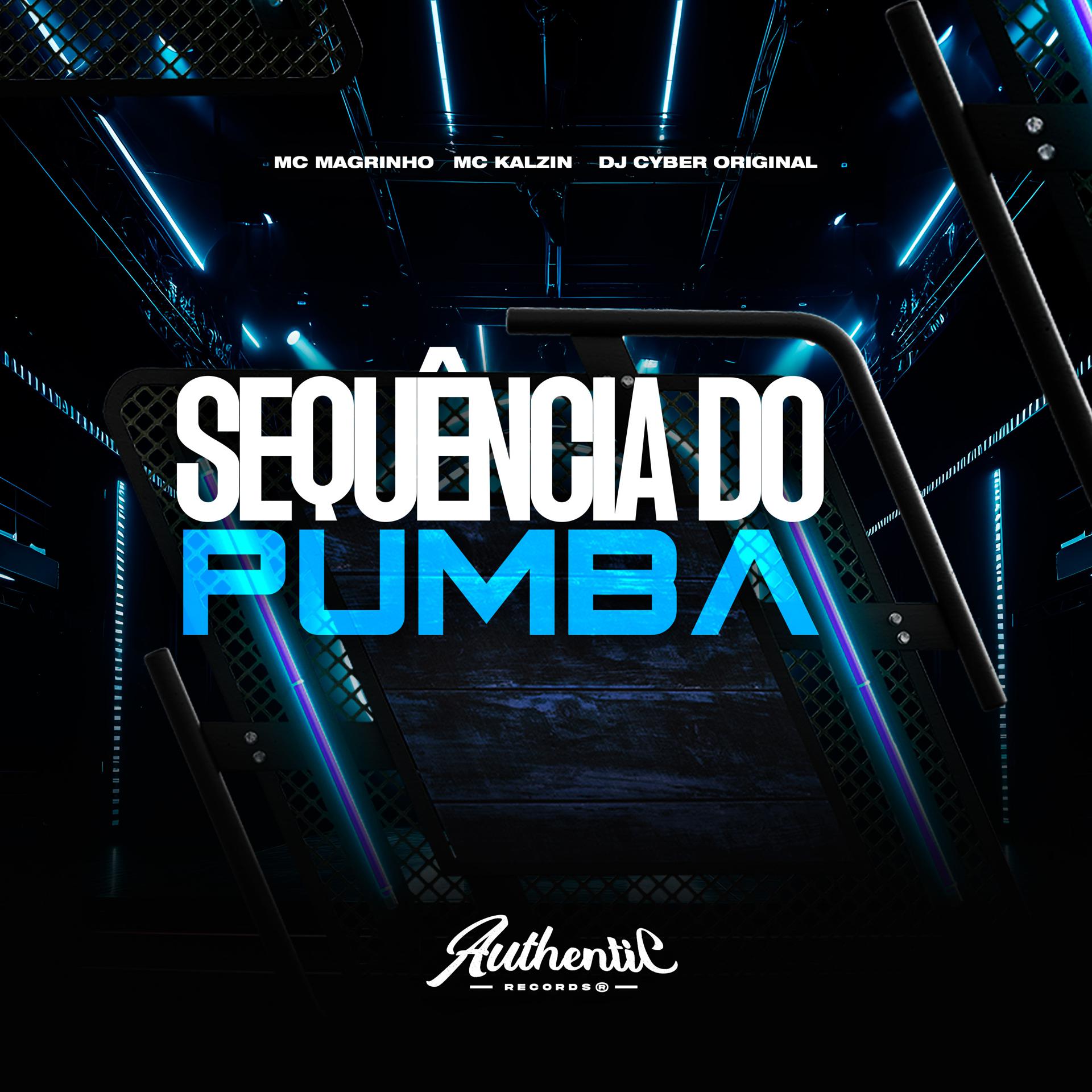 Постер альбома Sequência do Pumba
