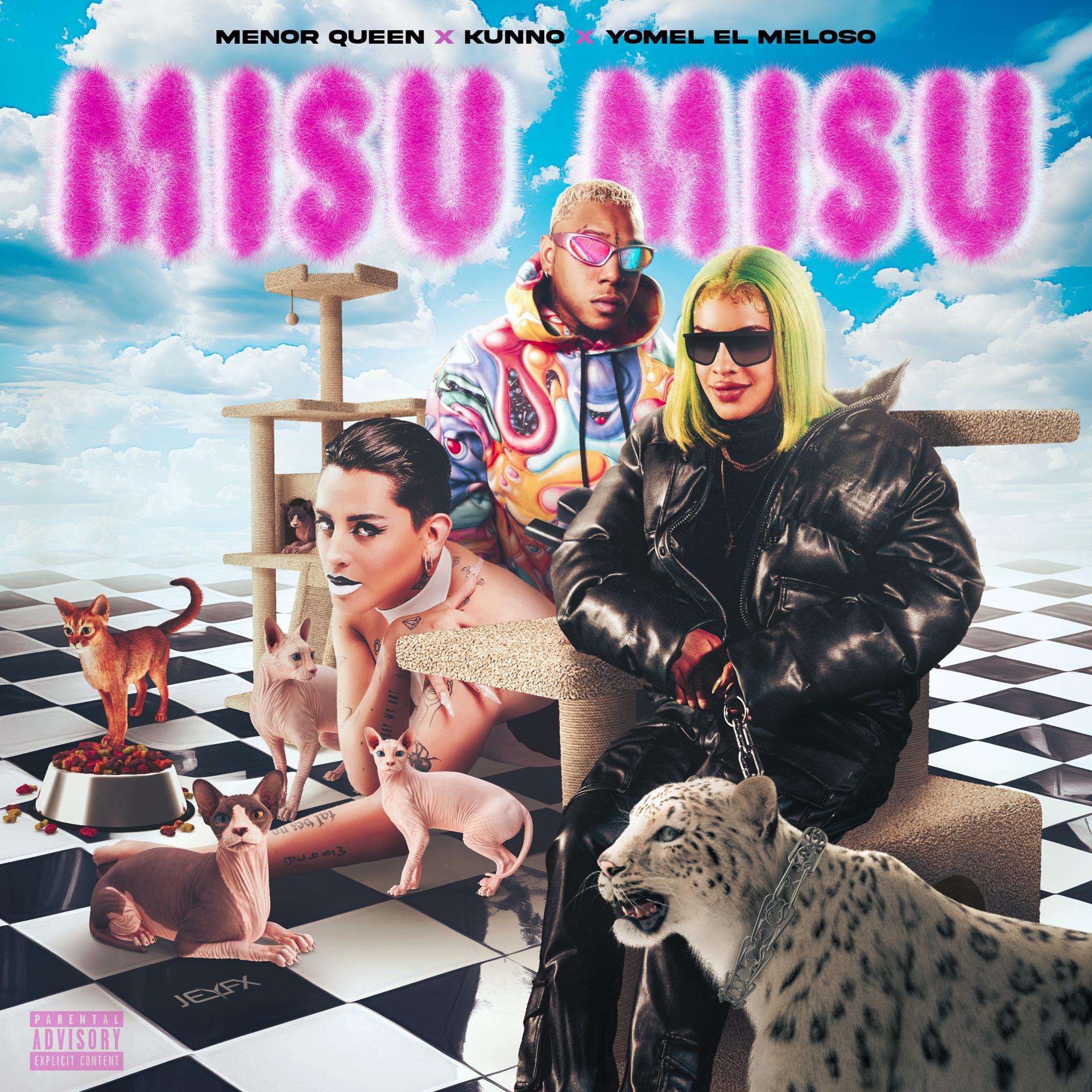 Постер альбома Misu Misu