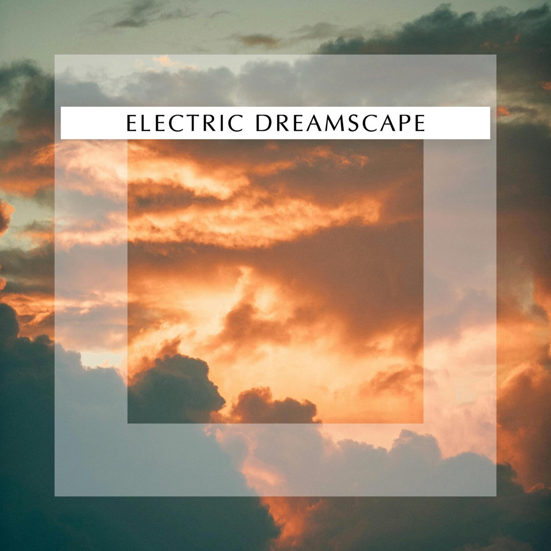 Постер альбома Electric Dreamscape