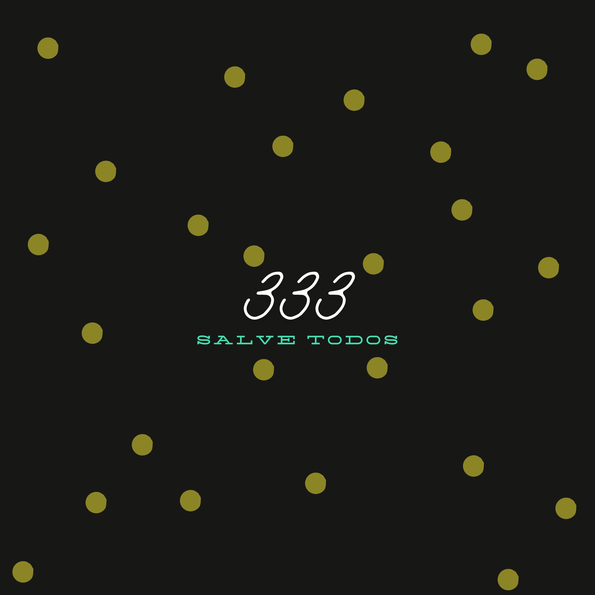 Постер альбома 333 Salve Todos (feat. Ryansp E Chefin)