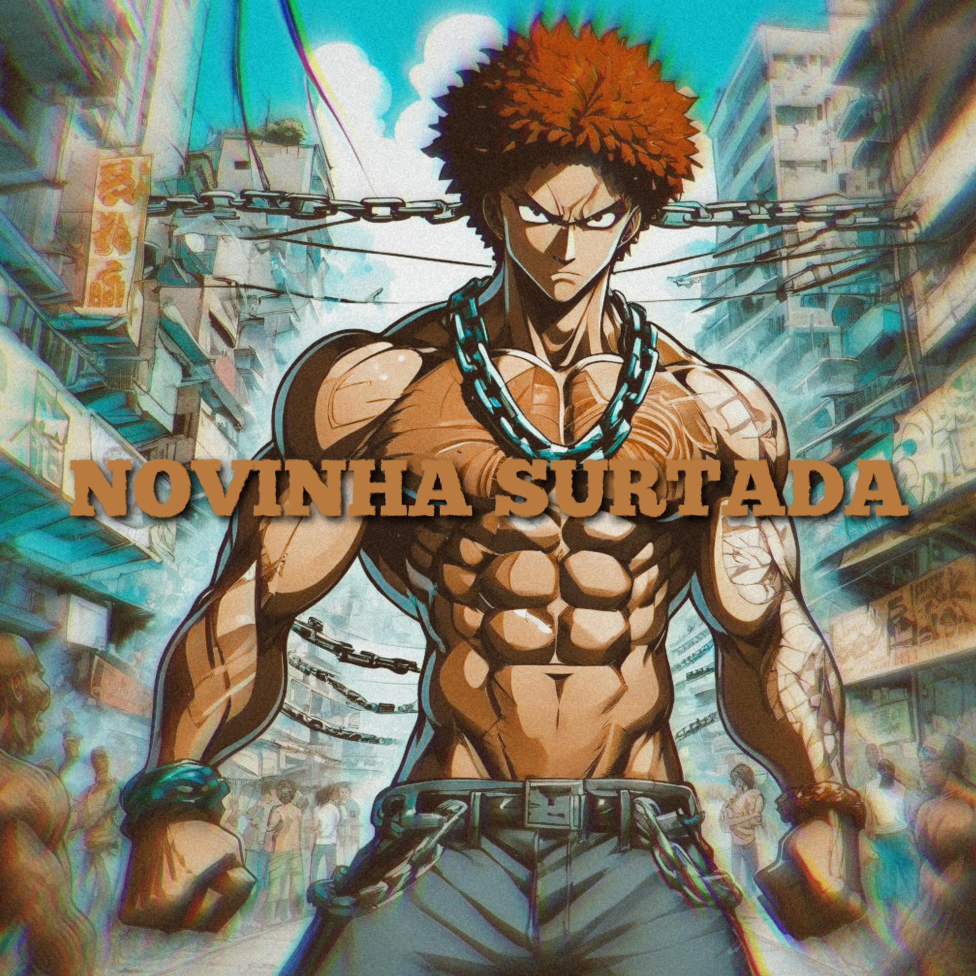 Постер альбома NOVINHA SURTADA