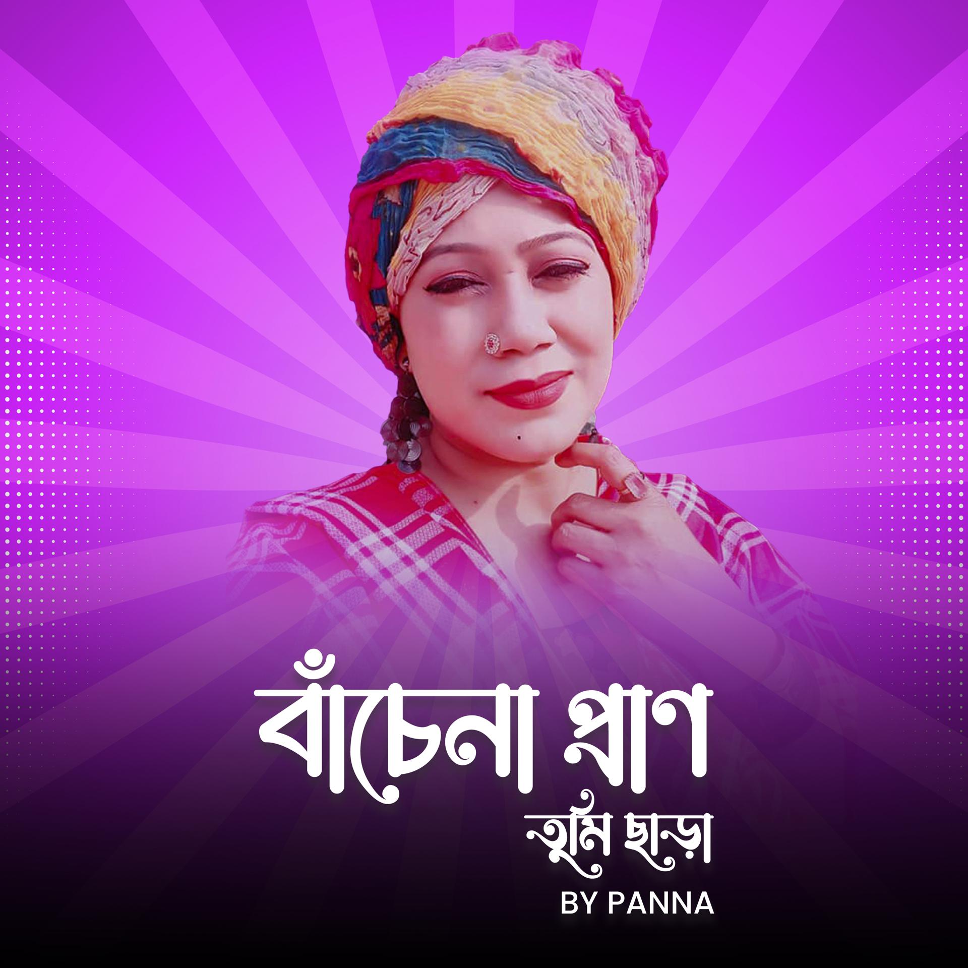 Постер альбома Baba Tomar Dorbare Sob Pagoler Khela by Panna