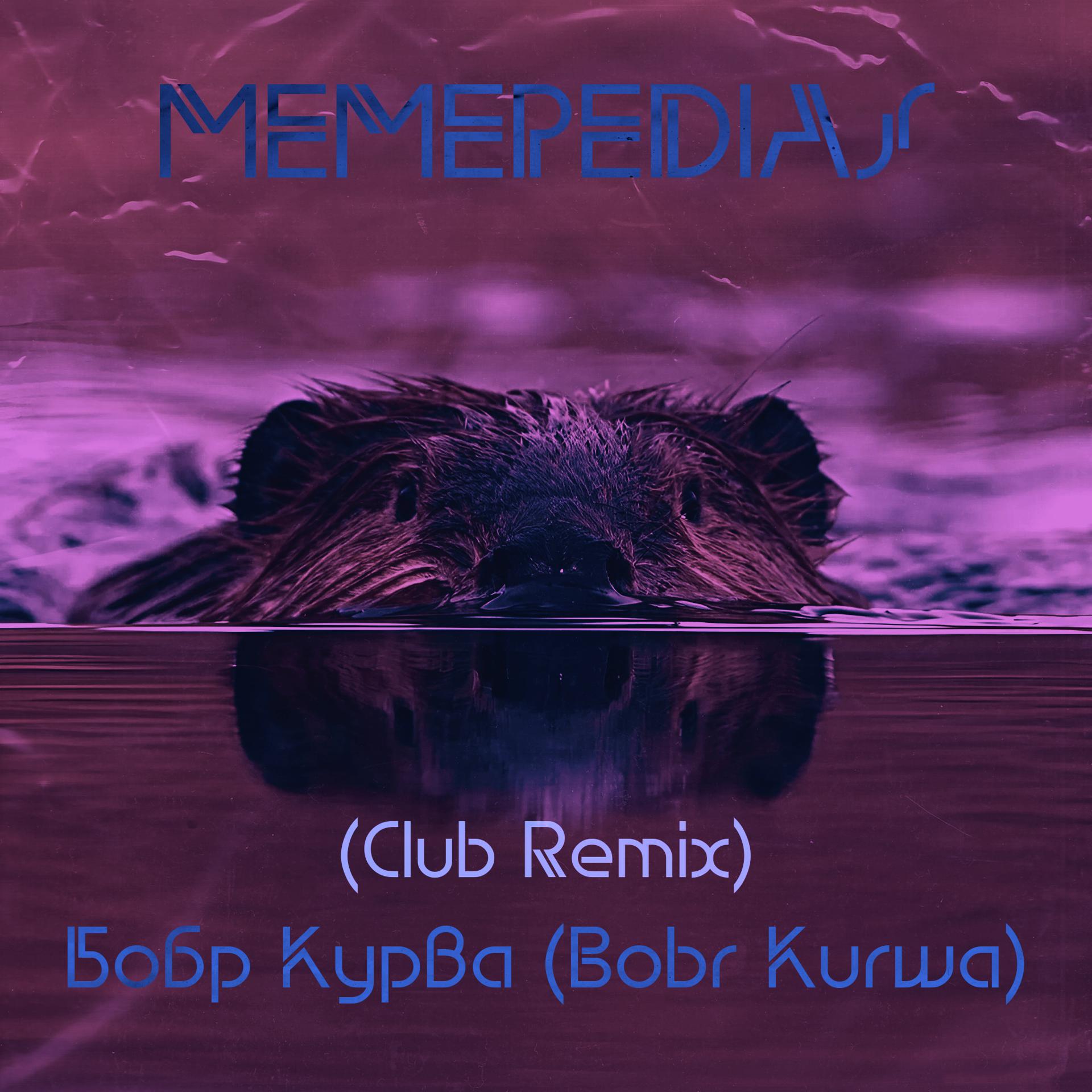 Постер альбома Бобр Курва (Club Remix) (Bobr Kurwa)
